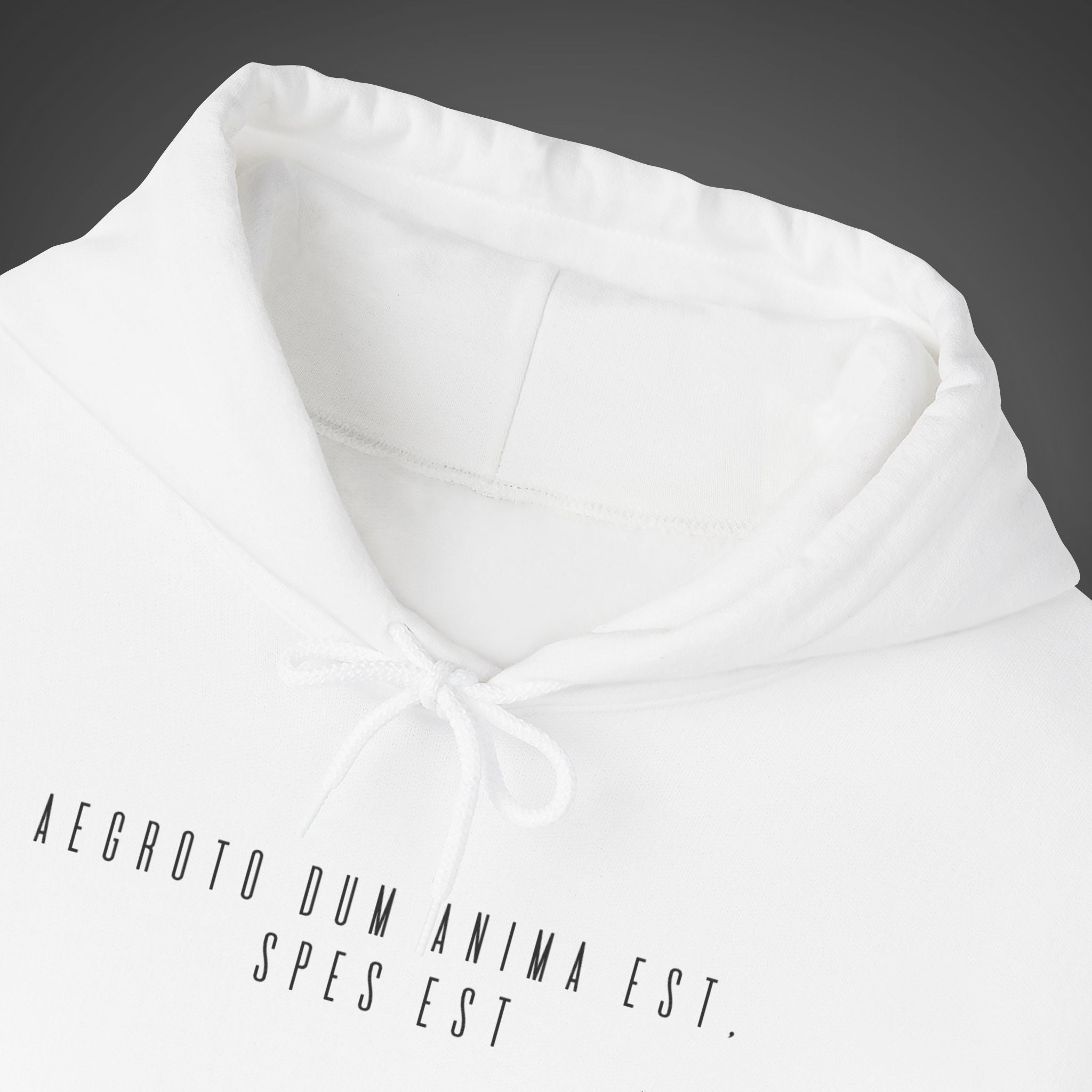 Women's "Aegroto dum anima est, spes est" - "While there’s life, there’s hope " Hoodie