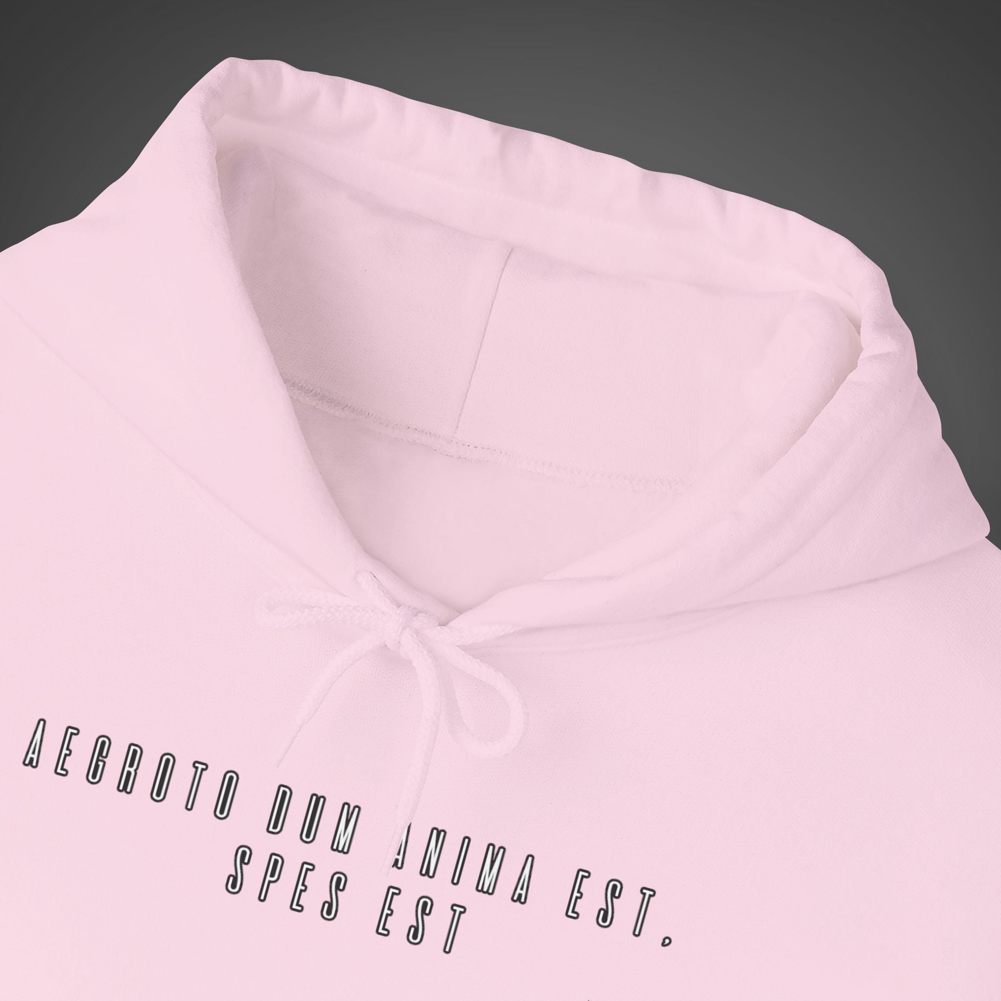 Women's "Aegroto dum anima est, spes est" - "While there’s life, there’s hope " Hoodie