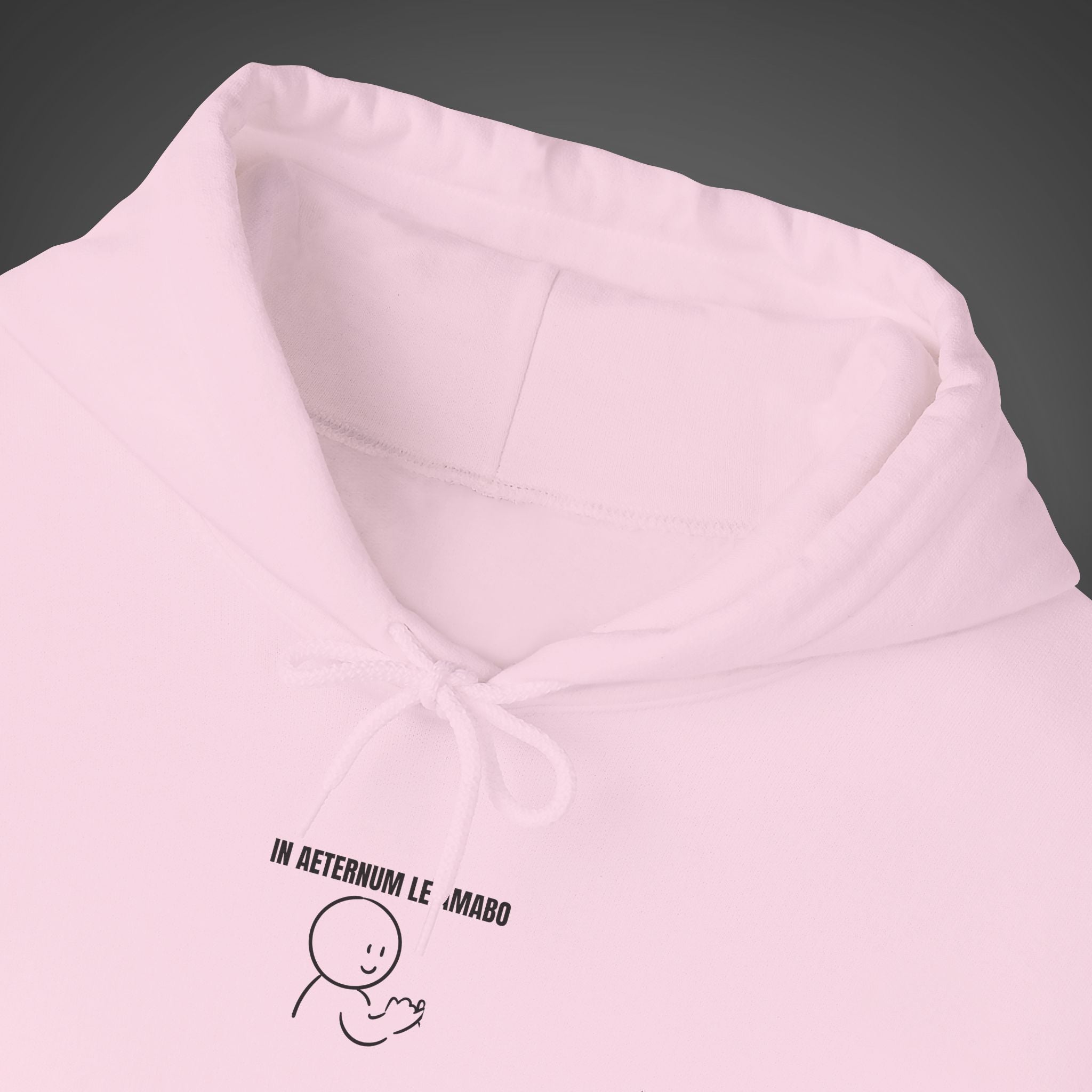 Women's "In aeternum le amabo" - "I will love you forever" Hoodie