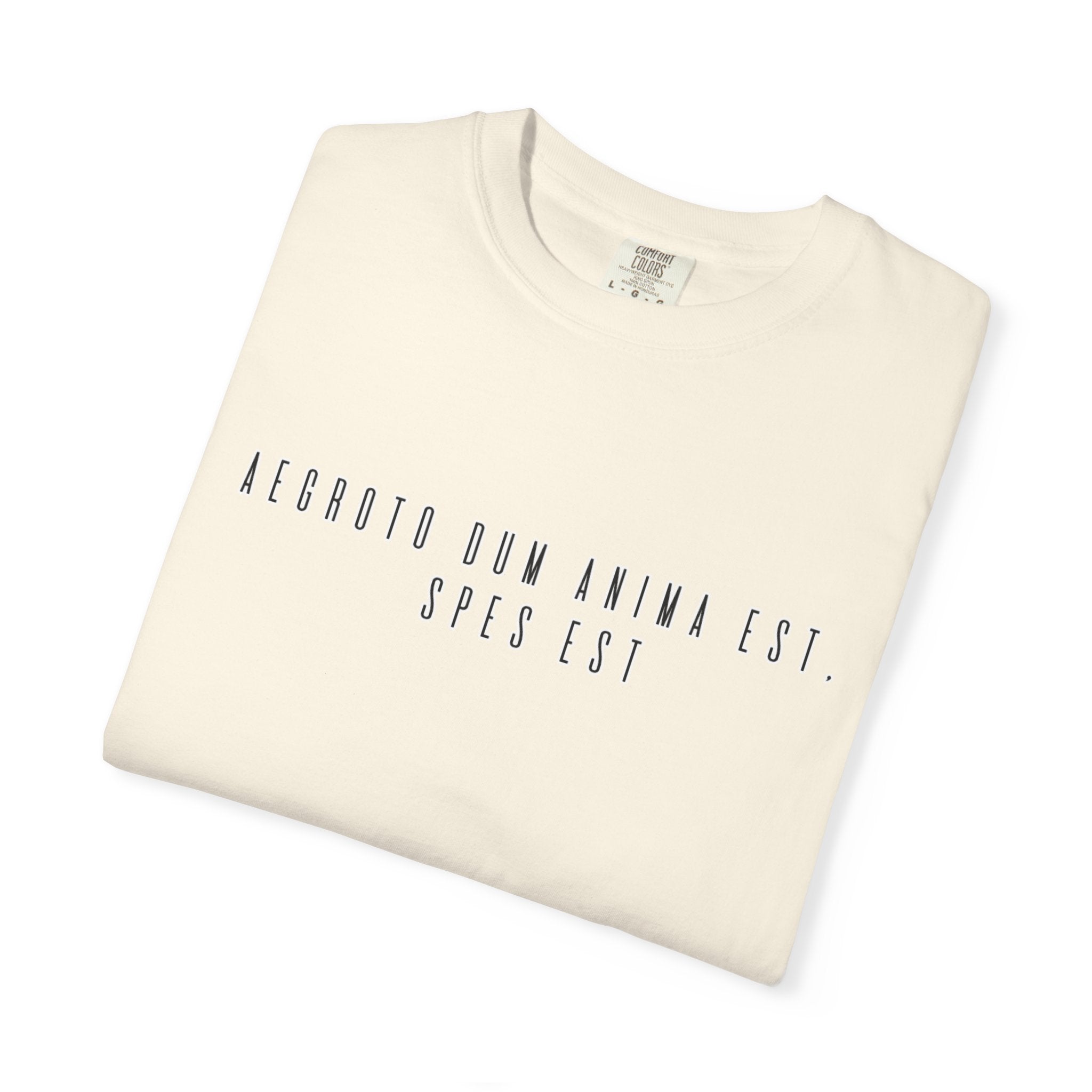 Women's "Aegroto dum anima est, spes est" - "While there’s life, there’s hope " T-Shirt