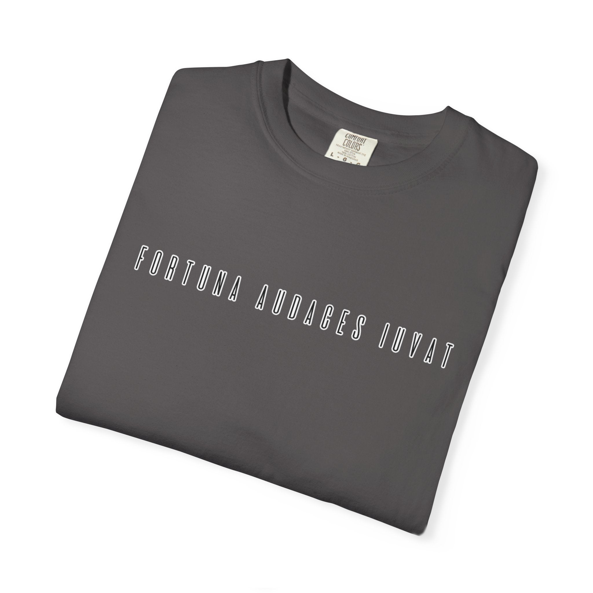 Men's "Fortuna audaces iuvat" - "Fortune favors the bold" T-shirt