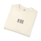 Men's "Ab initio deficit, ab initio vincit" -“From the beginning it fails, from the beginning it triumphs.”  T-shirt