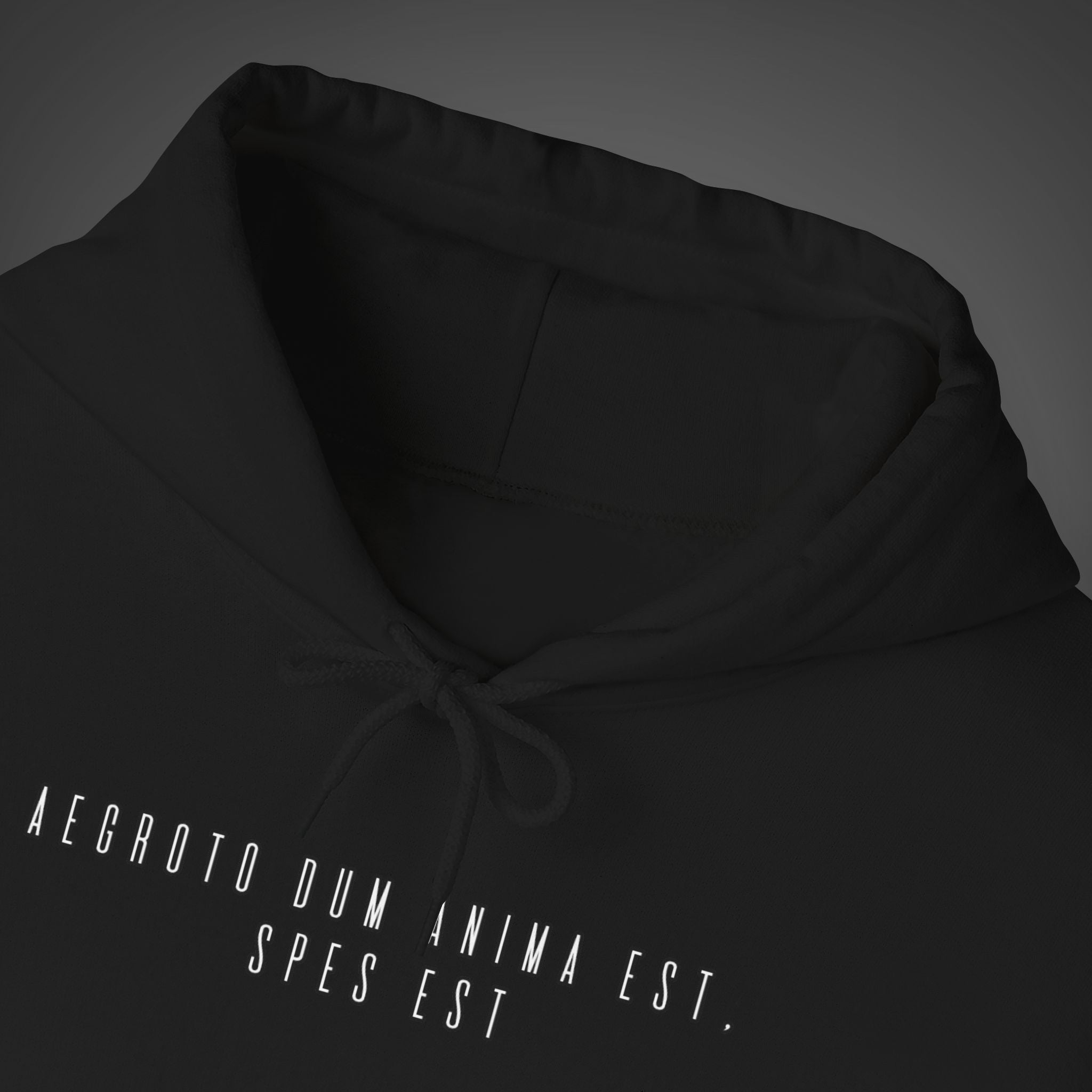Women's "Aegroto dum anima est, spes est" - "While there’s life, there’s hope " Hoodie