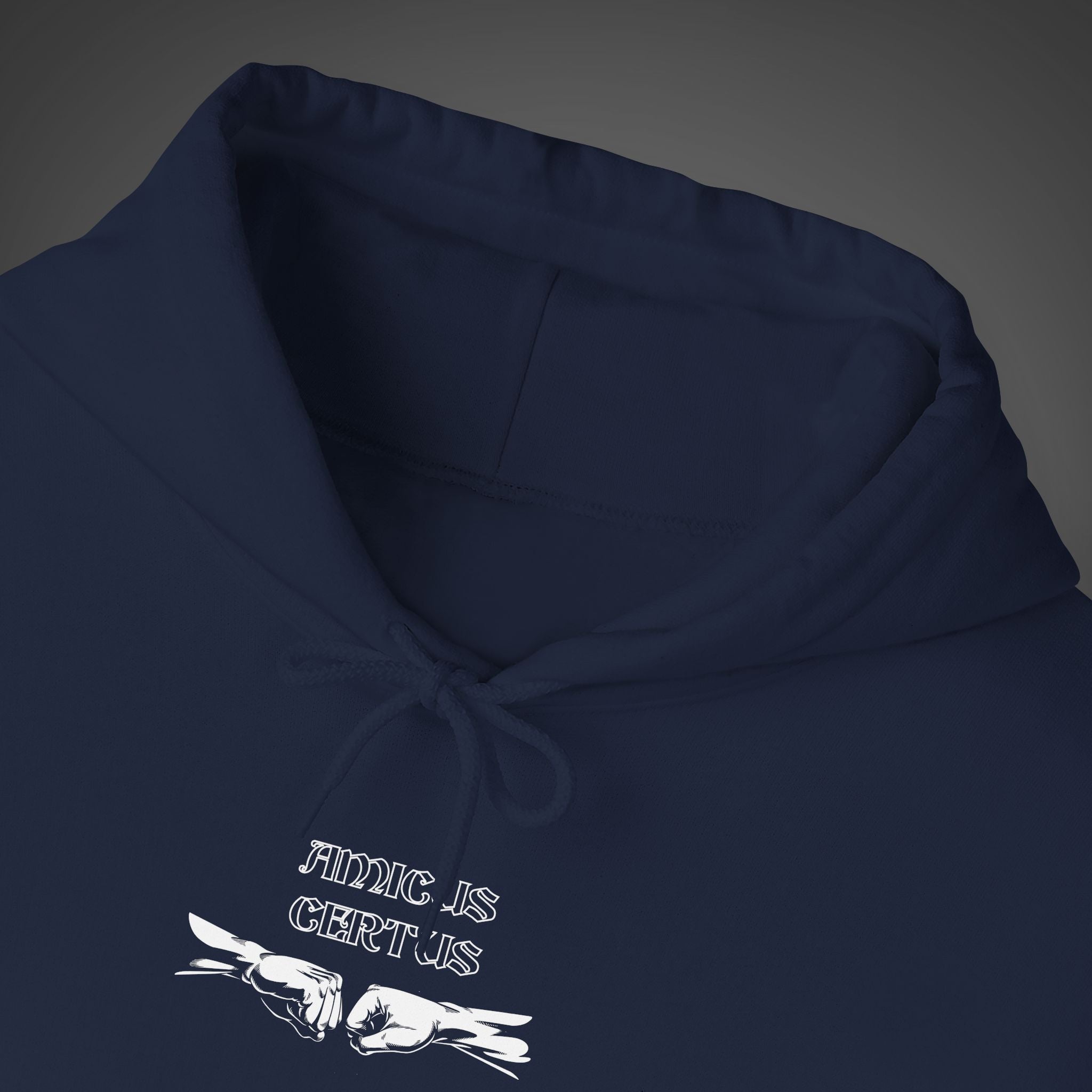 Men's "Amicus certus in re incerta cernitur - "A true friend is known in time of need" Hoodie
