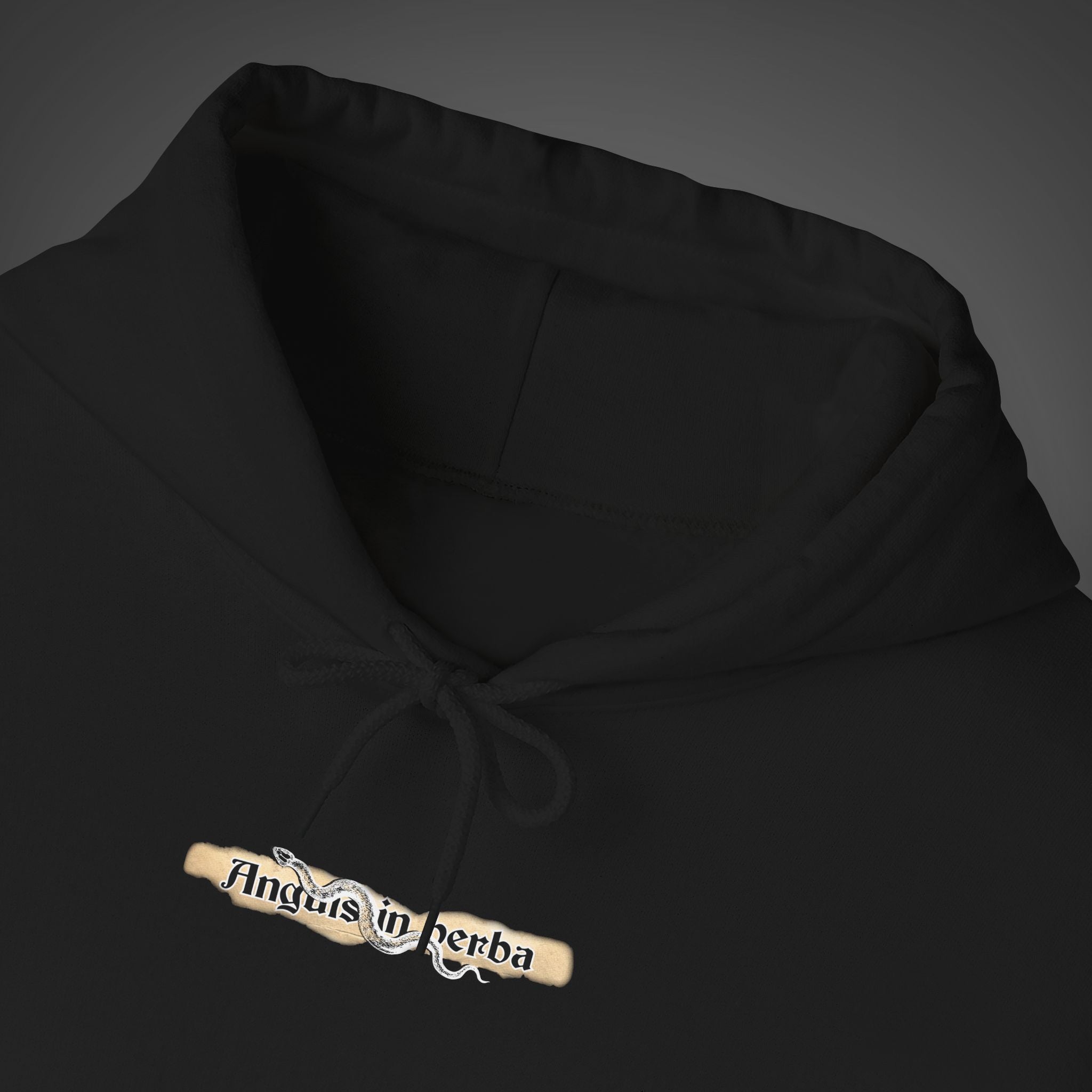 Women's "Anguis in herba" - "A snake in the grass"(hidden danger)  Hoodie