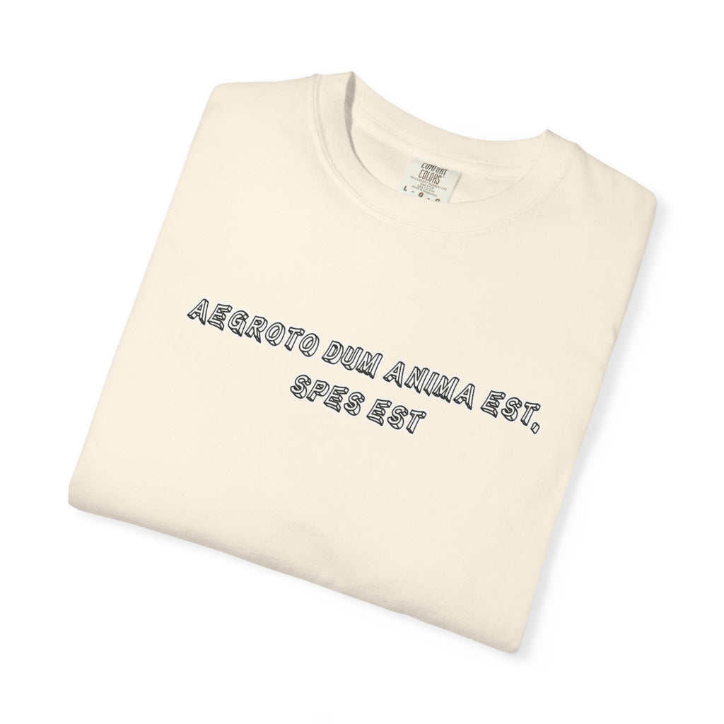 Men's "Aegroto dum anima est, spes est" - "While there’s life, there’s hope " T-Shirt