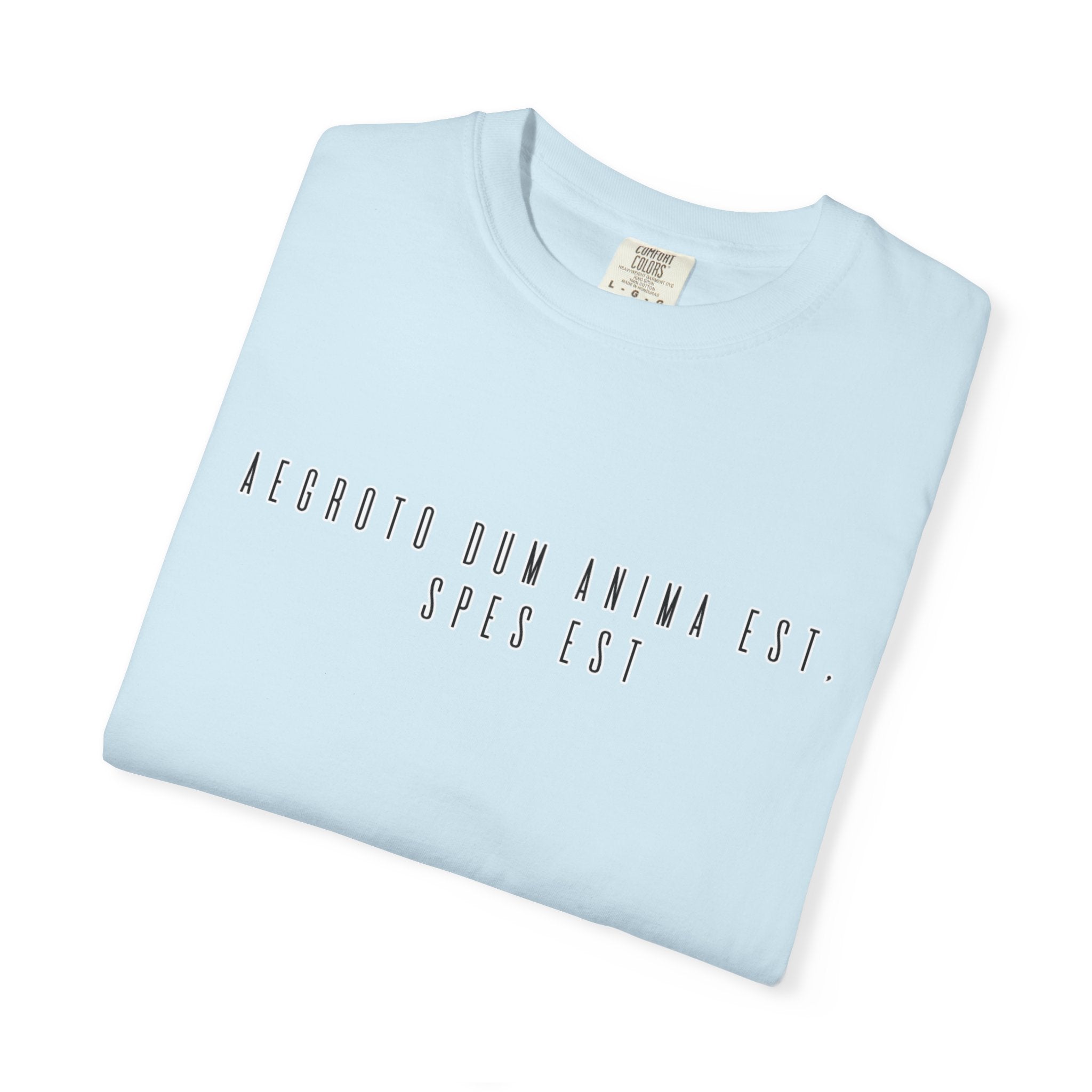 Women's "Aegroto dum anima est, spes est" - "While there’s life, there’s hope " T-Shirt