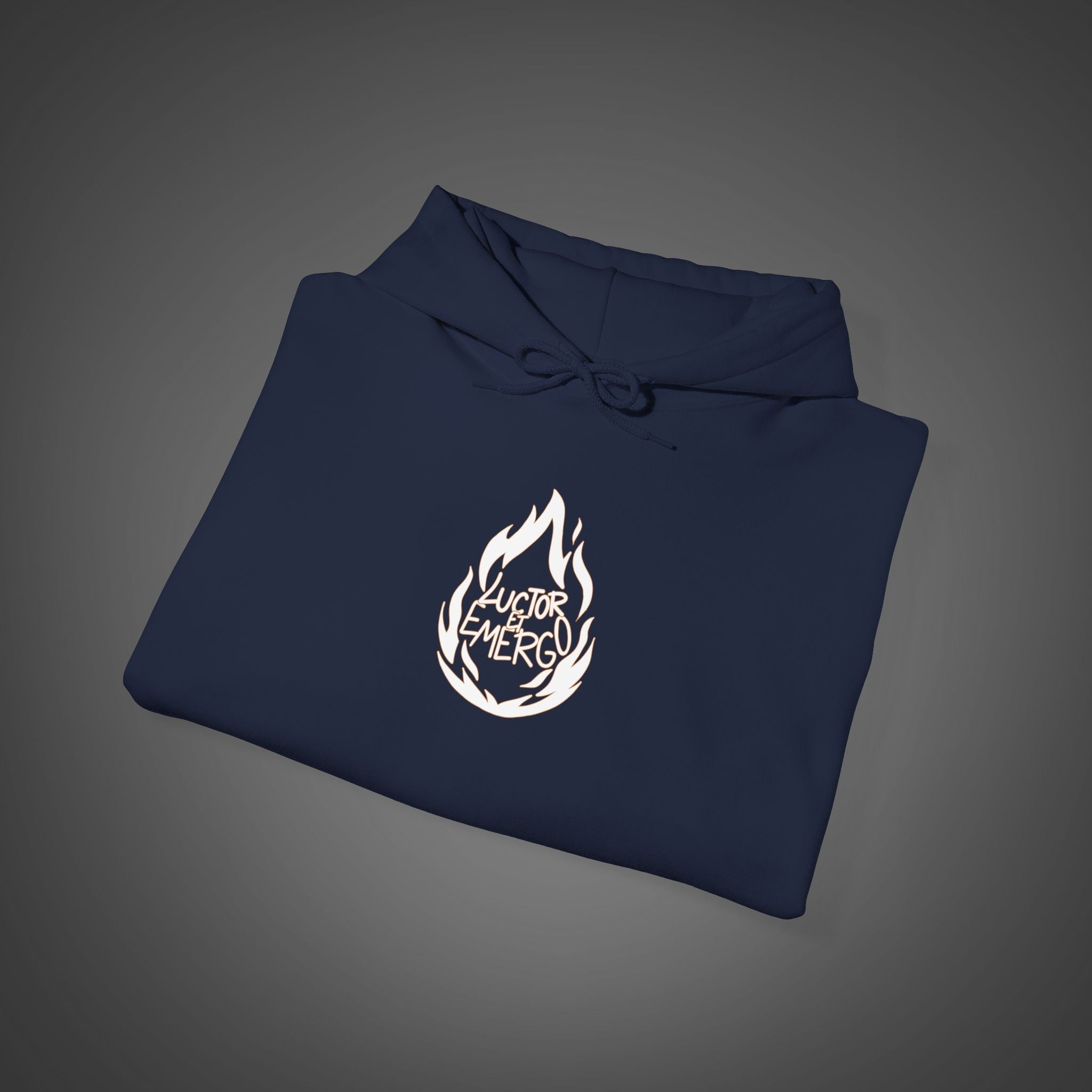 Men's "Luctor et emergo" - "I struggle and rise" Hoodie