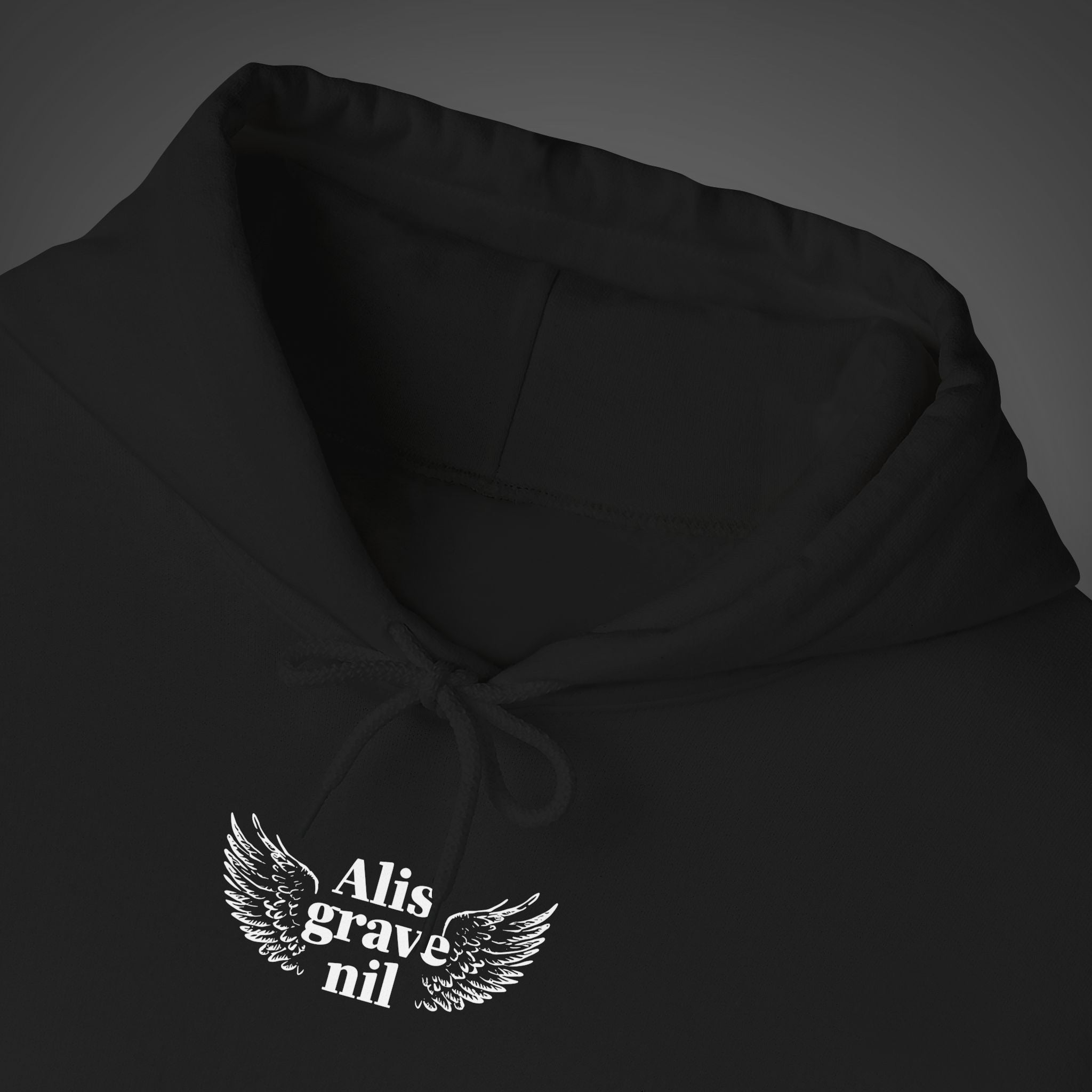 Women's  "Alis grave nil" - "Nothing is heavy to those who have wings" Hoodie