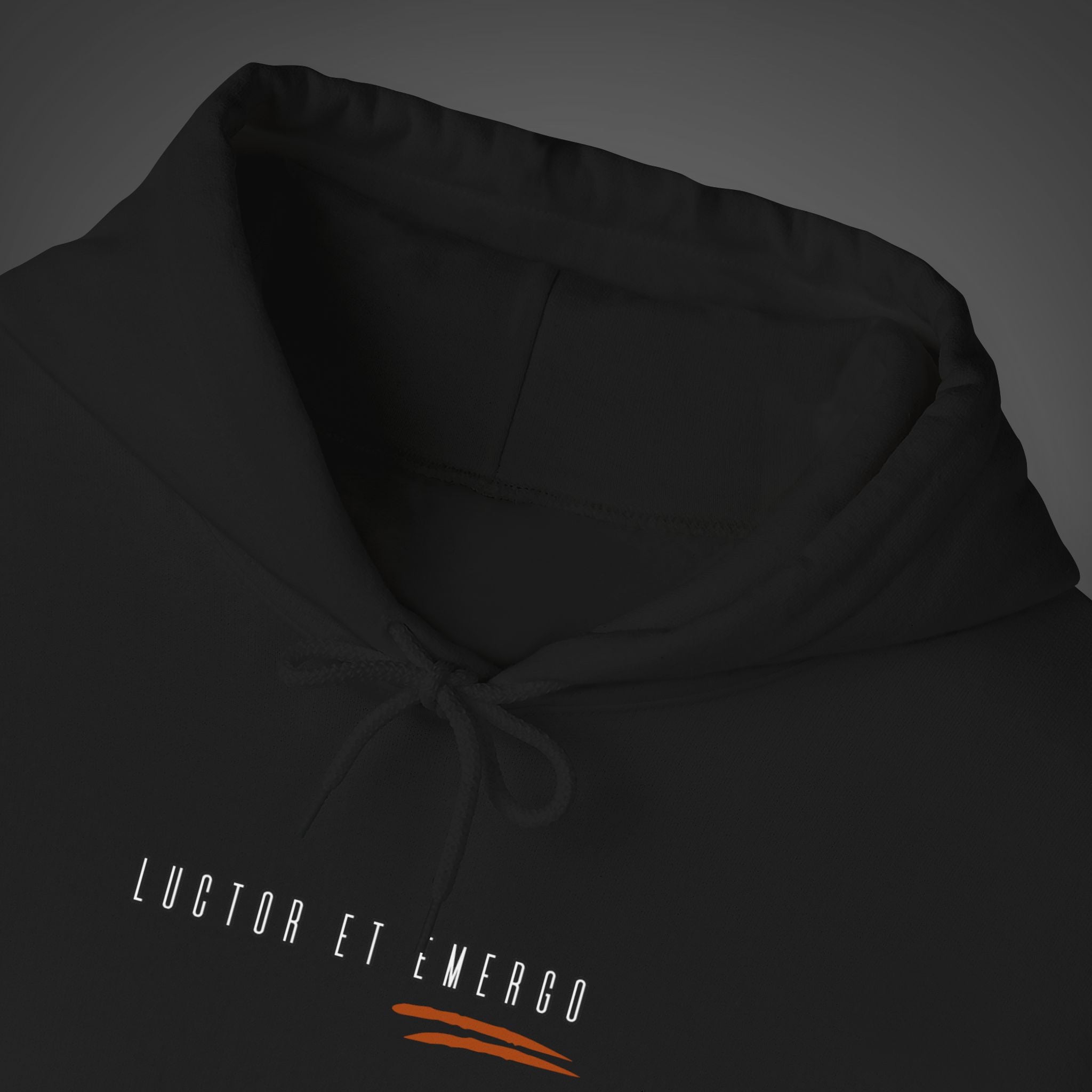 Women's "Luctor et emergo" - "I struggle and rise" Hoodie