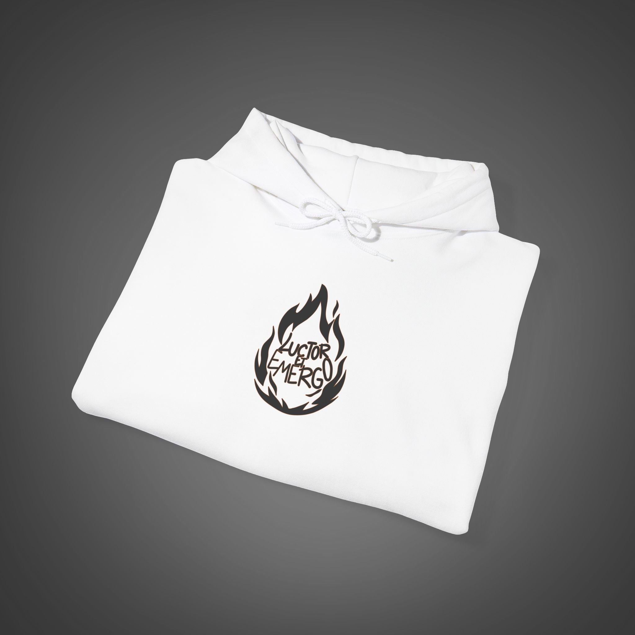 Men's "Luctor et emergo" - "I struggle and rise" Hoodie