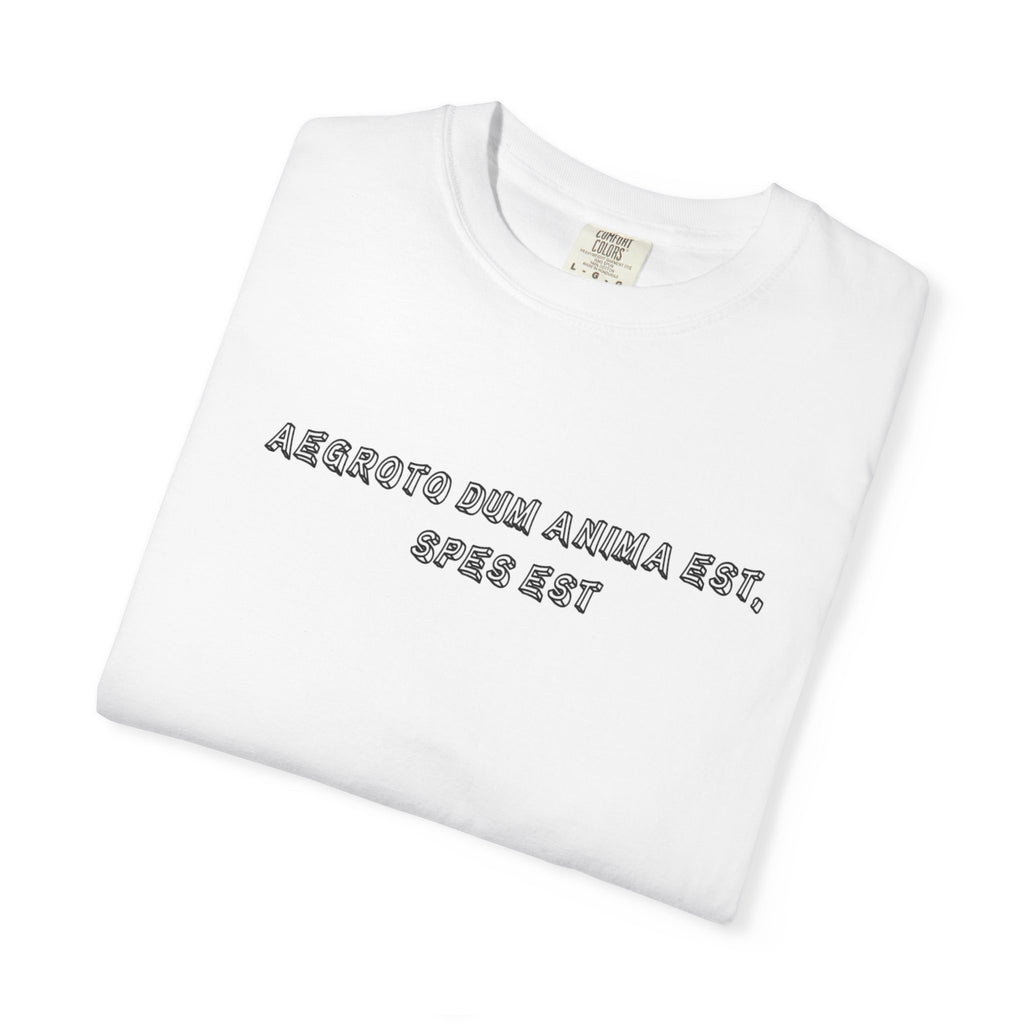 Men's "Aegroto dum anima est, spes est" - "While there’s life, there’s hope " T-Shirt