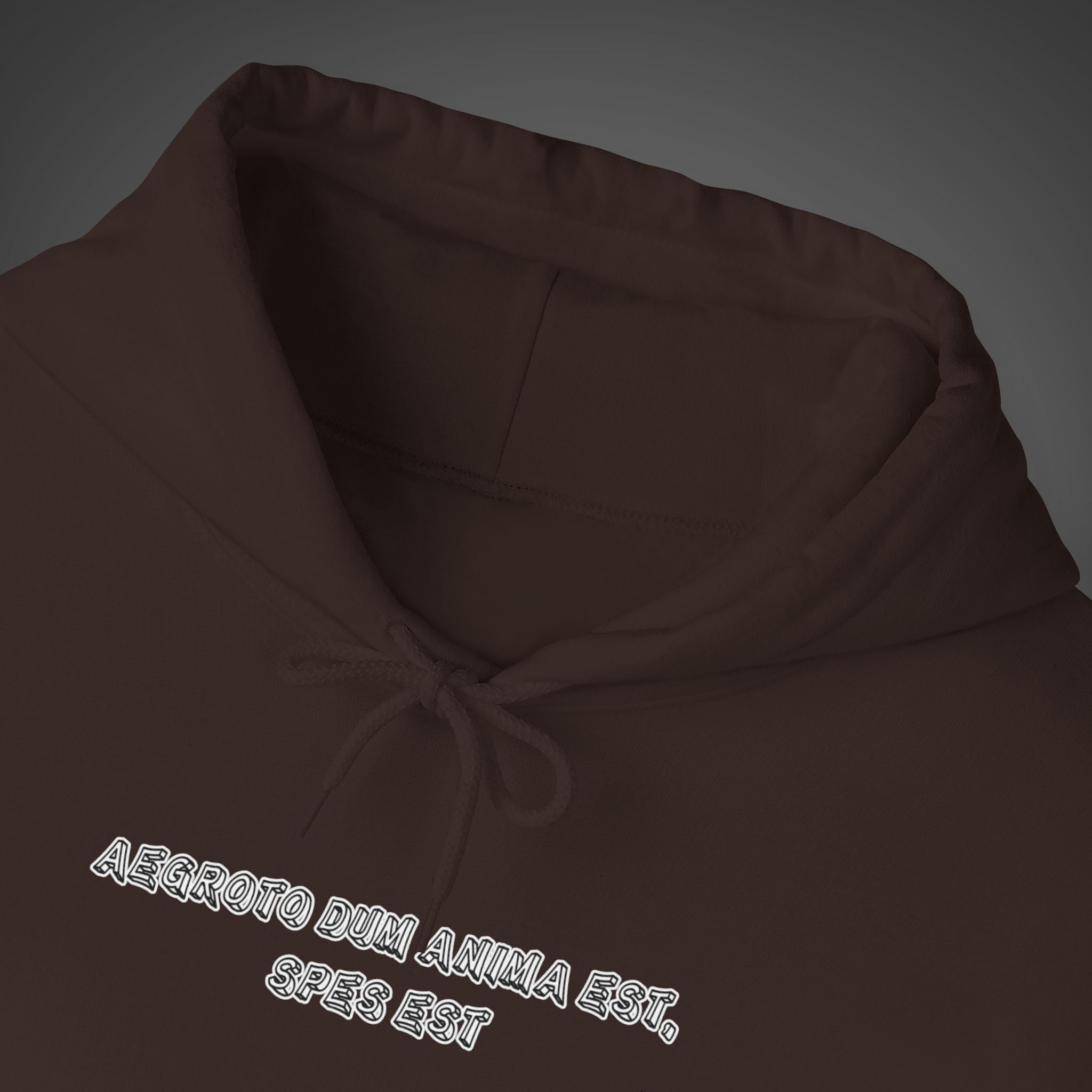 Men's "Aegroto dum anima est, spes est" - "While there’s life, there’s hope " Hoodie