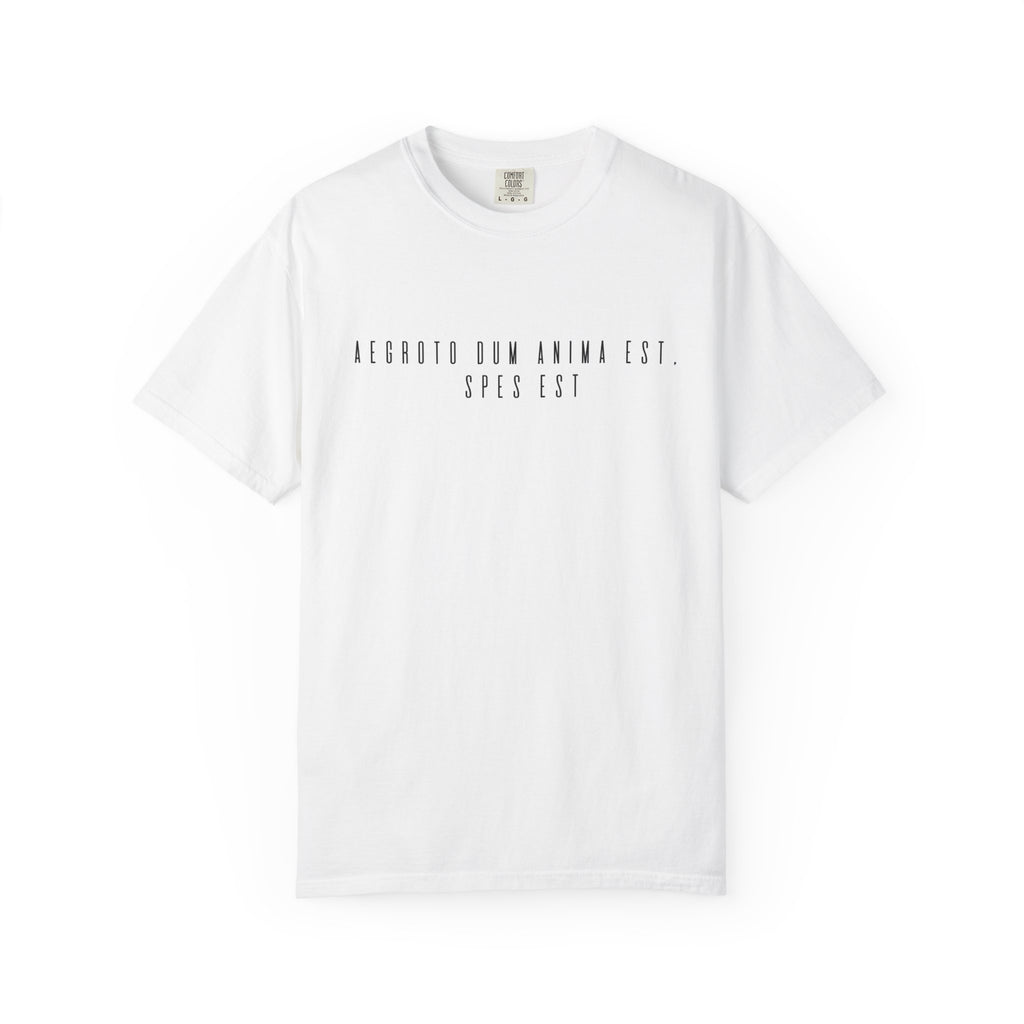 Women's "Aegroto dum anima est, spes est" - "While there’s life, there’s hope " T-Shirt