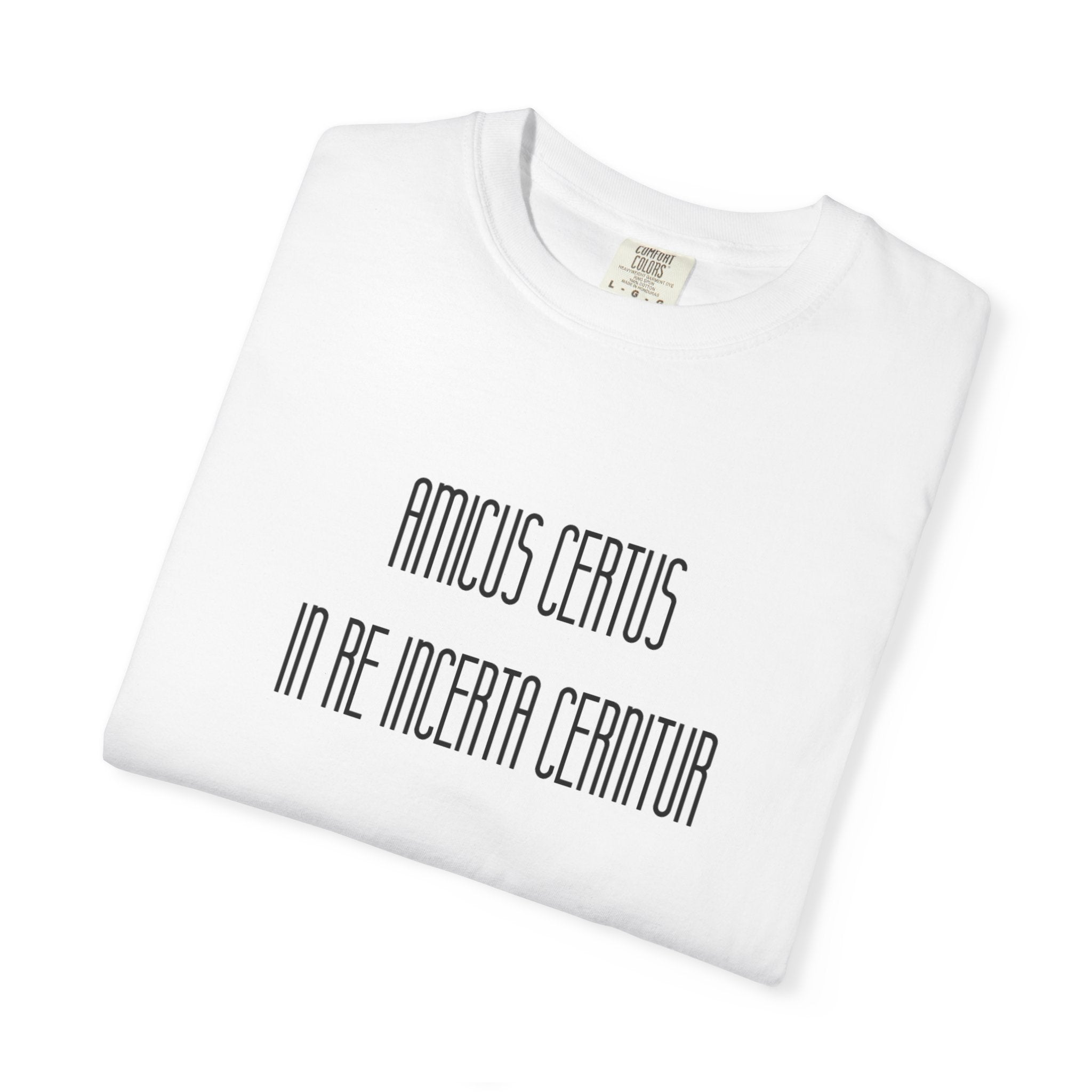 Men's "Amicus certus in re incerta cernitur - "A true friend is known in time of need" T-Shirt