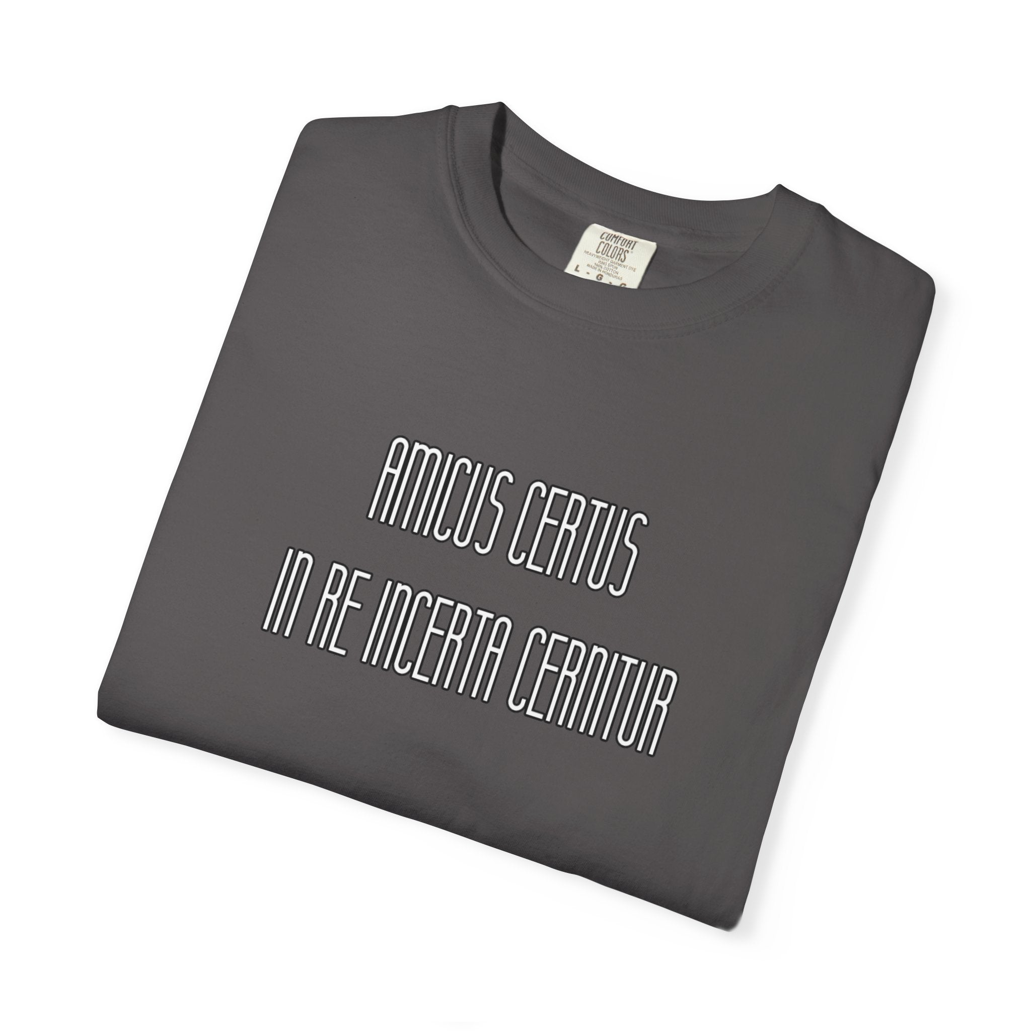 Men's "Amicus certus in re incerta cernitur - "A true friend is known in time of need" T-Shirt