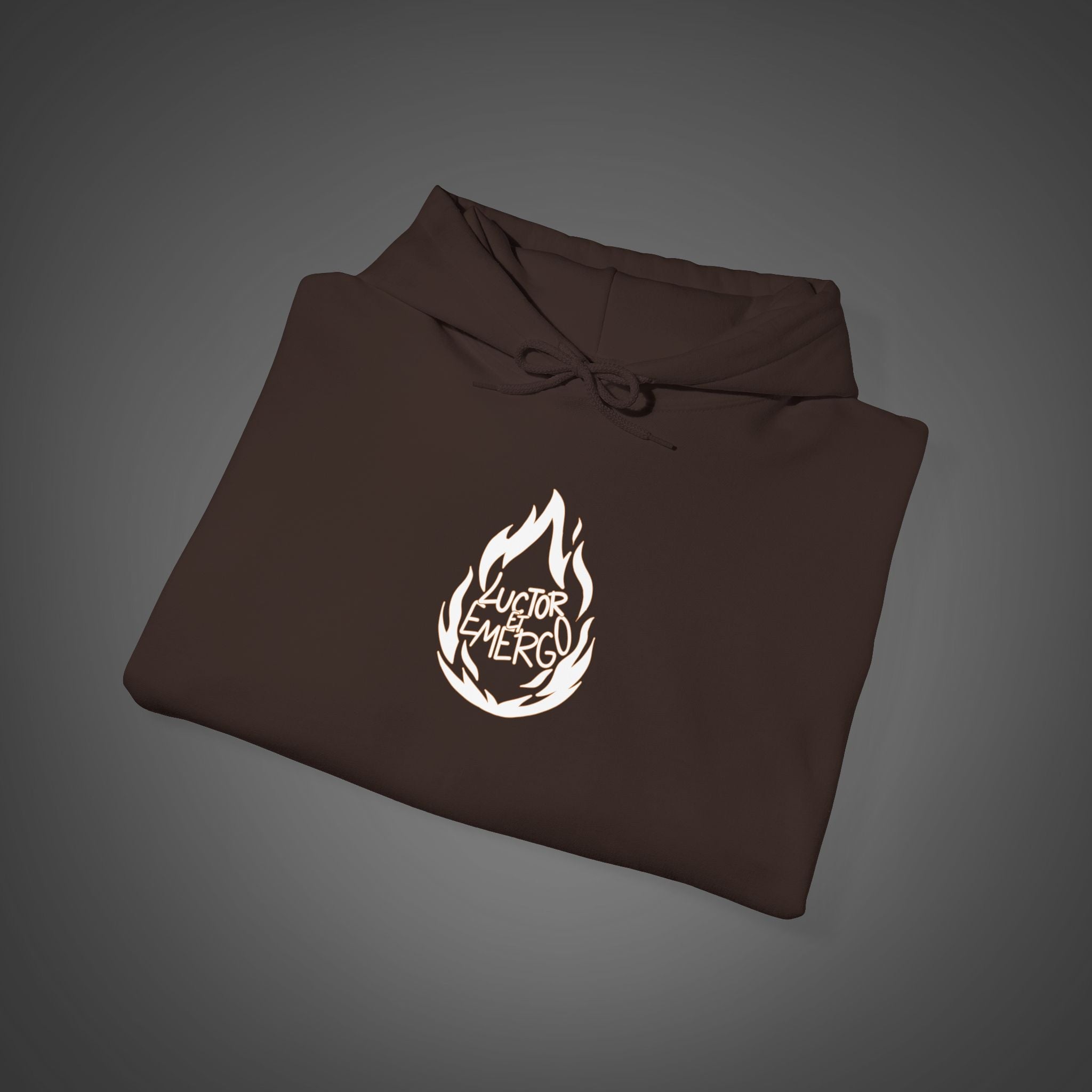Men's "Luctor et emergo" - "I struggle and rise" Hoodie