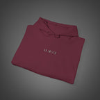Men's "Ab initio" - "From the beginning"  Hoodie