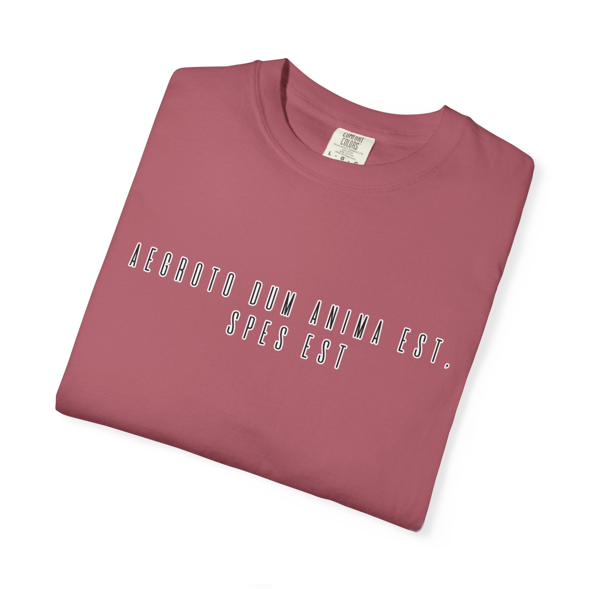 Women's "Aegroto dum anima est, spes est" - "While there’s life, there’s hope " T-Shirt