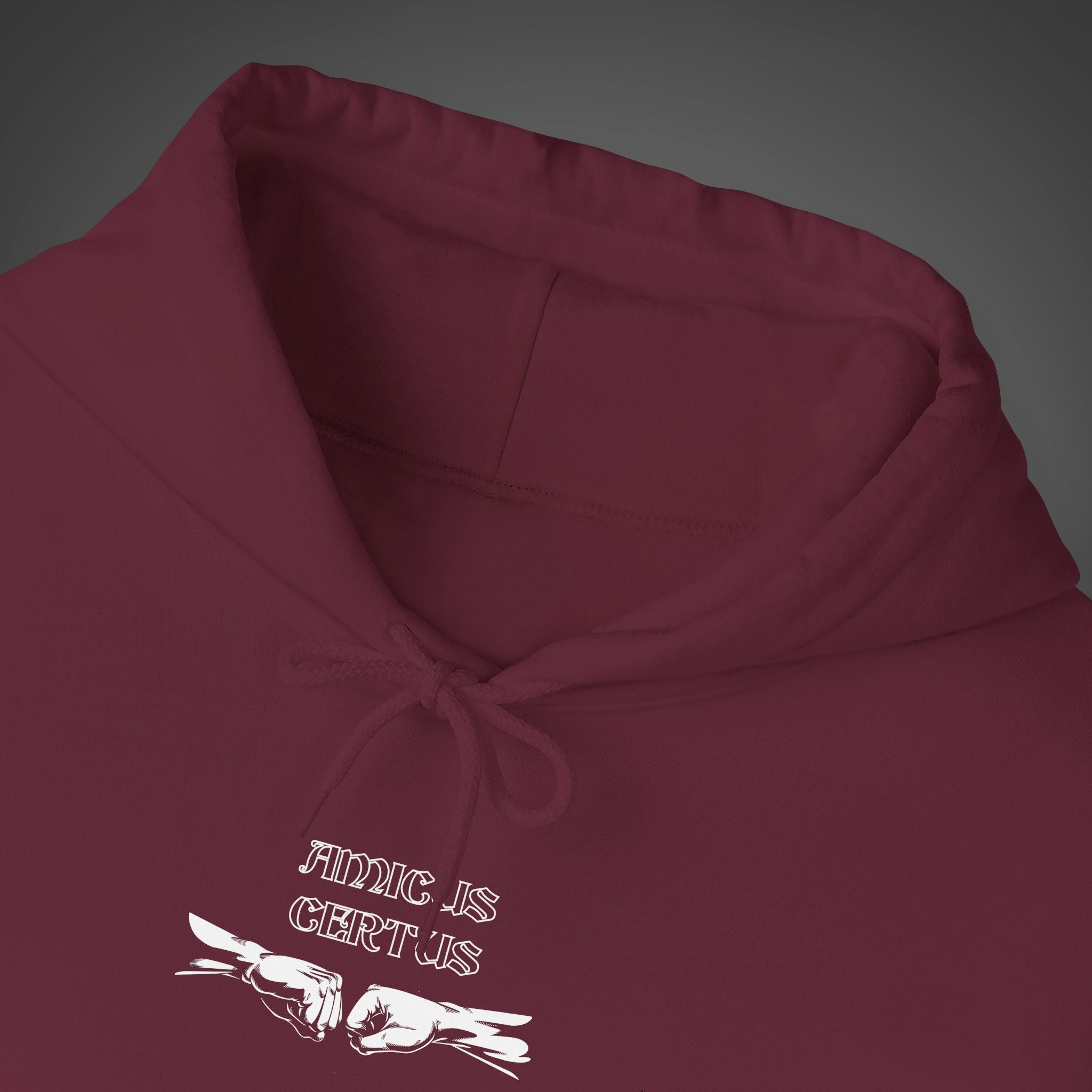 Men's "Amicus certus in re incerta cernitur - "A true friend is known in time of need" Hoodie