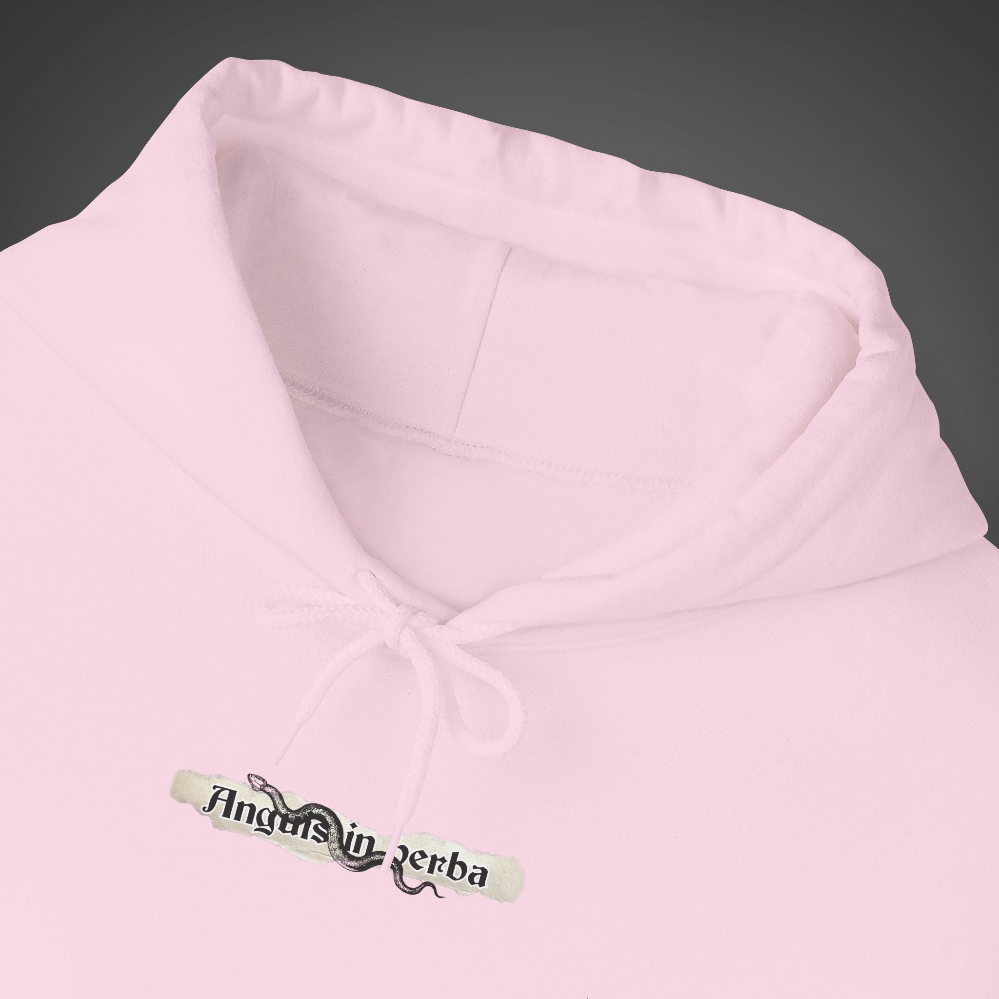 Women's "Anguis in herba" - "A snake in the grass"(hidden danger)  Hoodie