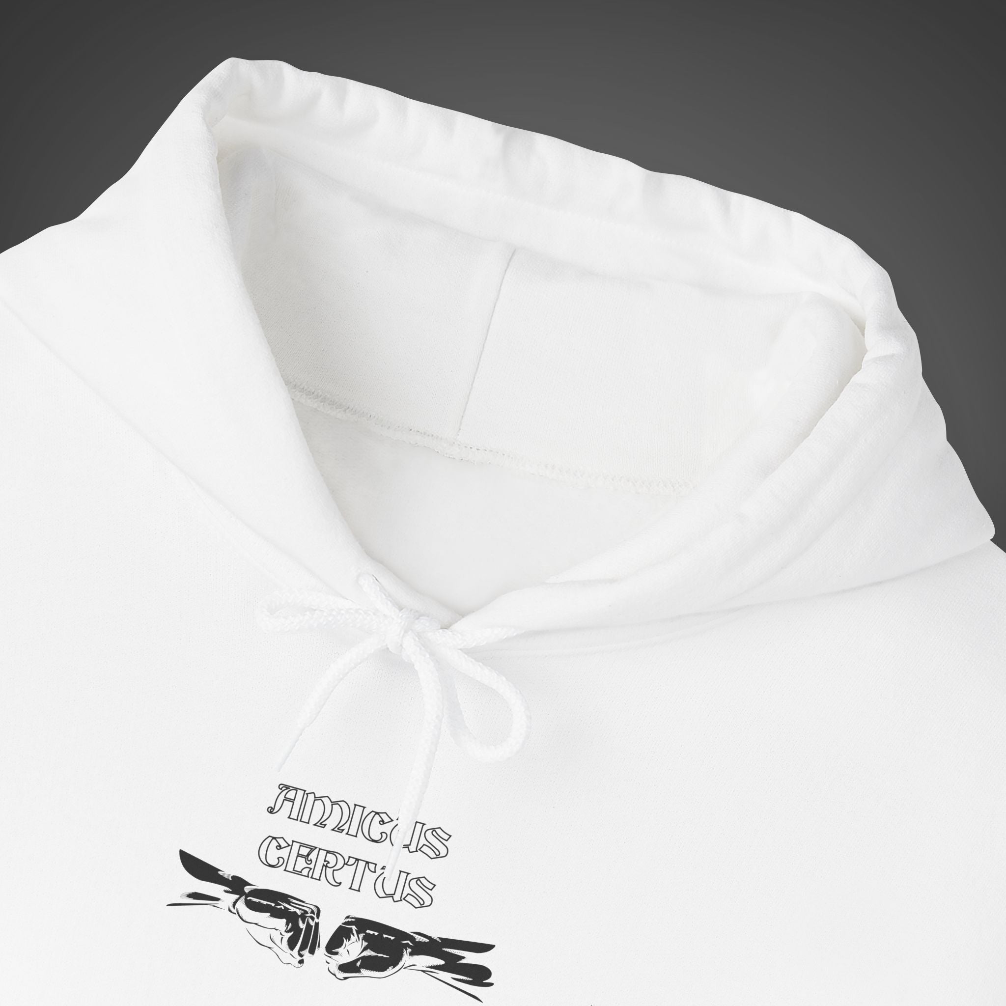 Men's "Amicus certus in re incerta cernitur - "A true friend is known in time of need" Hoodie