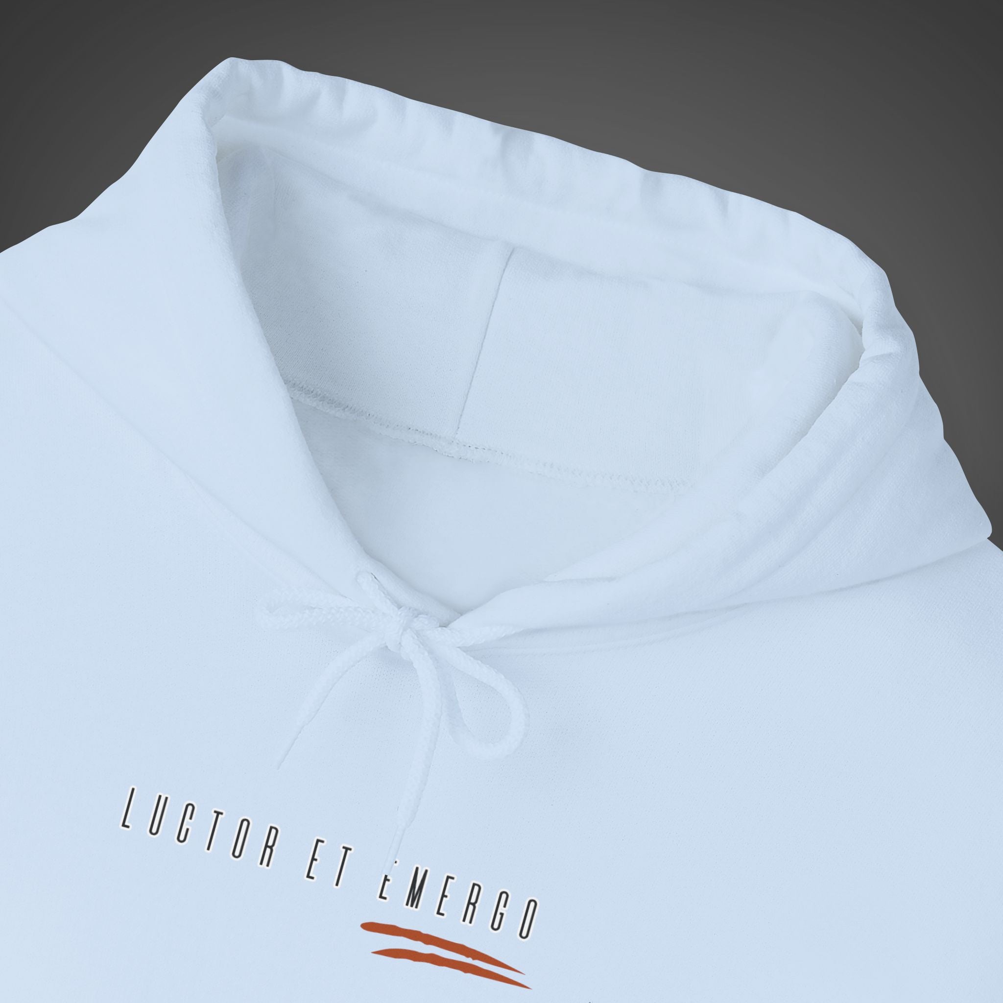 Women's "Luctor et emergo" - "I struggle and rise" Hoodie