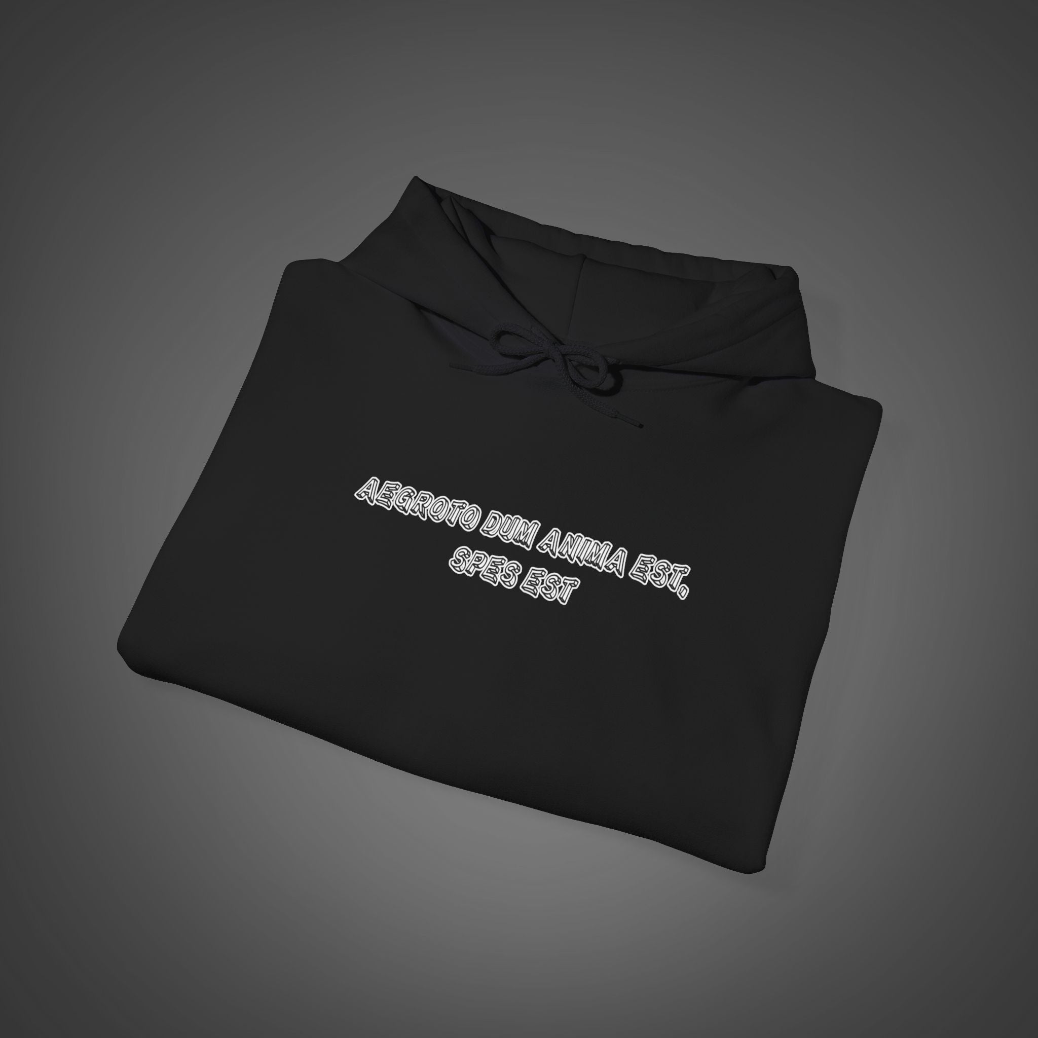 Men's "Aegroto dum anima est, spes est" - "While there’s life, there’s hope " Hoodie