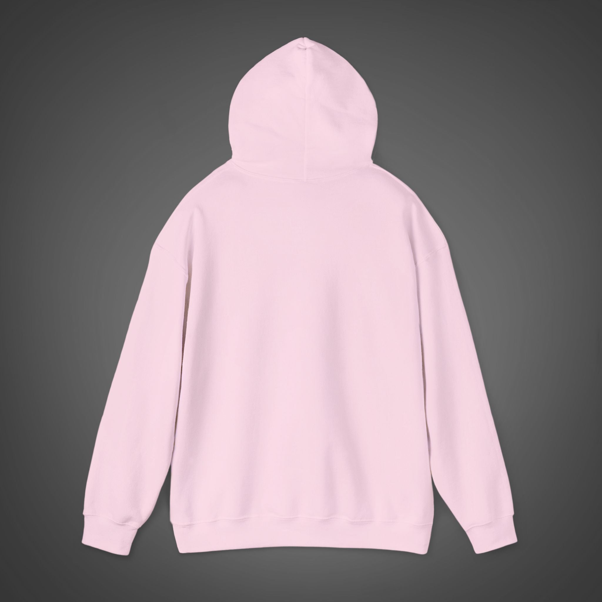 Women's "Ab initio" - "From the beginning"  Hoodie