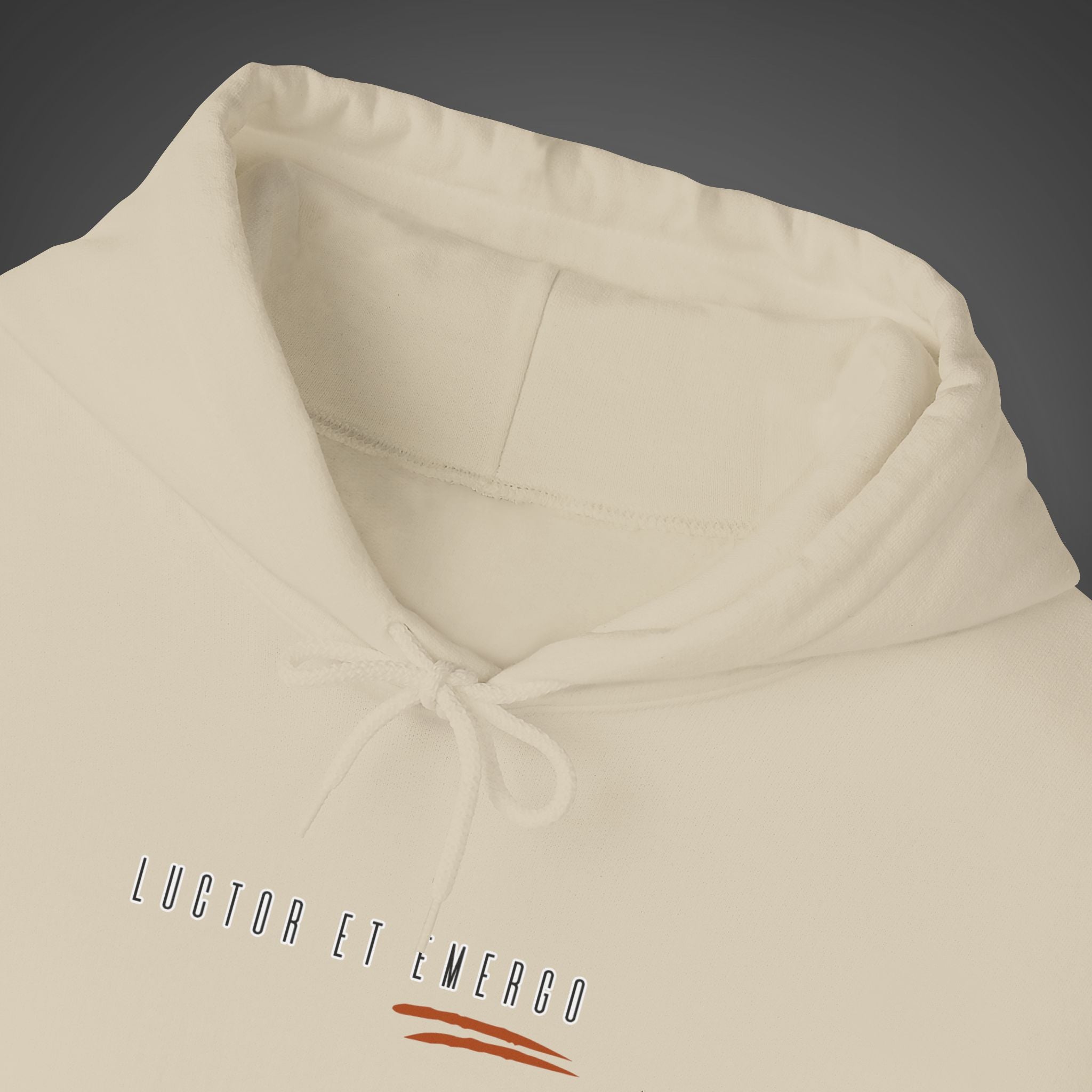Women's "Luctor et emergo" - "I struggle and rise" Hoodie