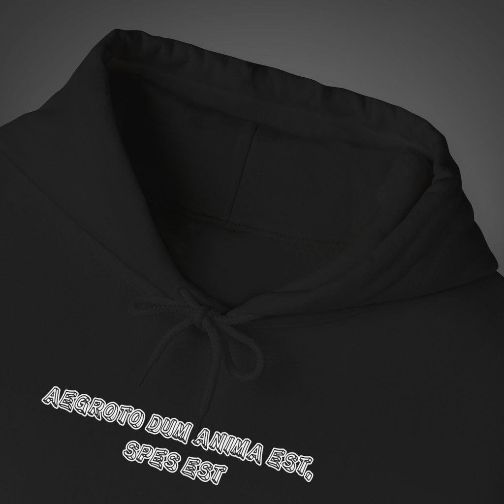 Men's "Aegroto dum anima est, spes est" - "While there’s life, there’s hope " Hoodie