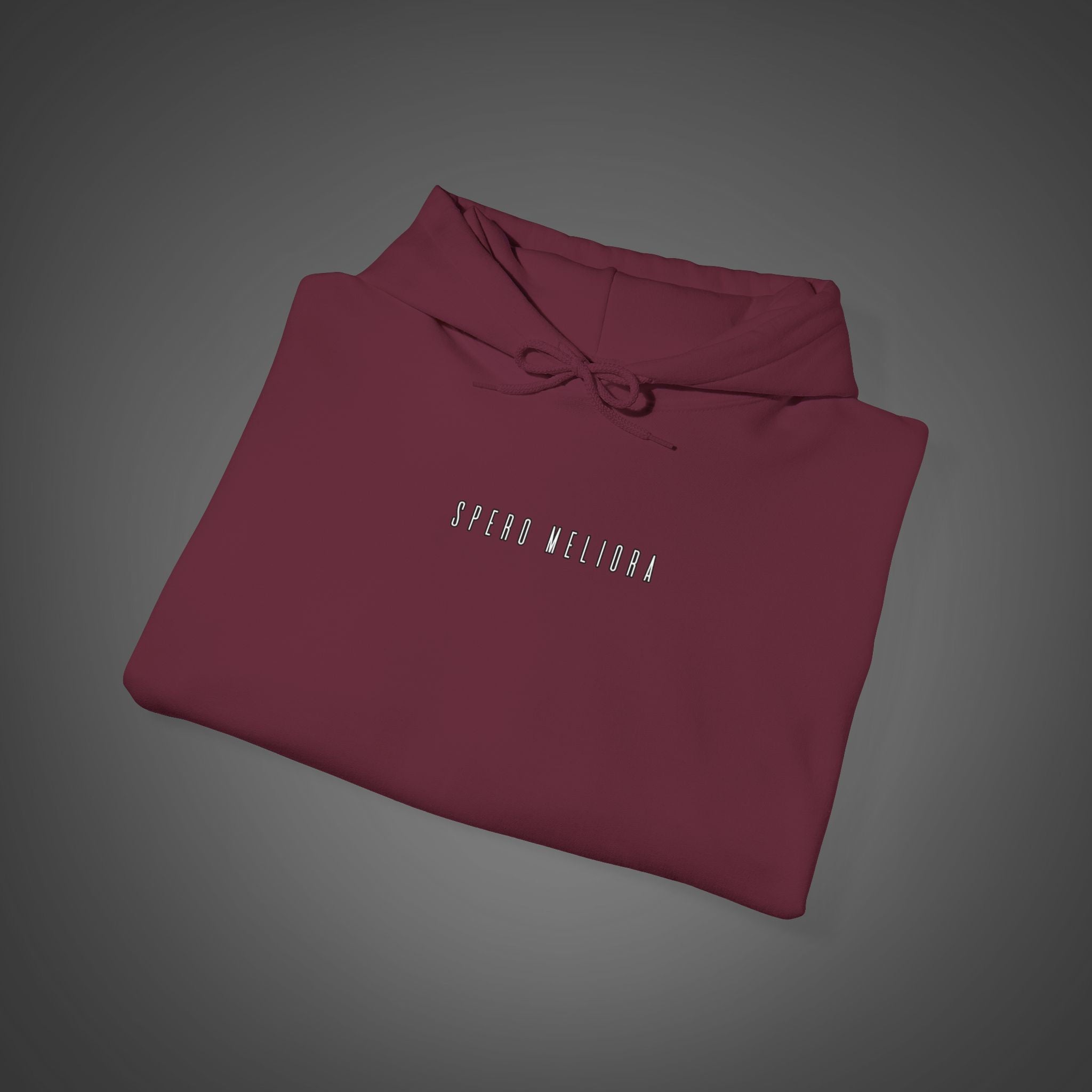 Men's "Spero meliora" - "I hope for better things" Hoodie