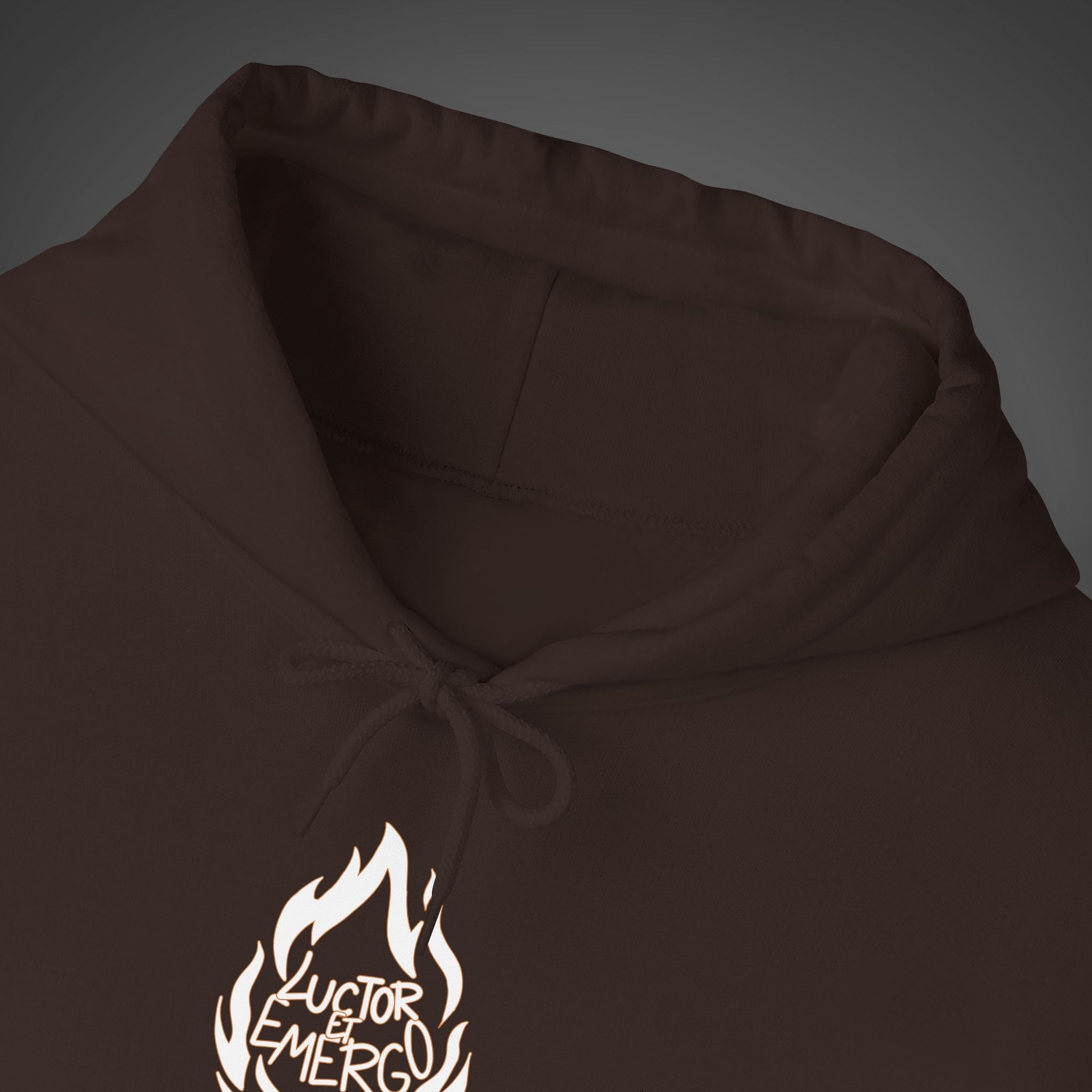 Men's "Luctor et emergo" - "I struggle and rise" Hoodie