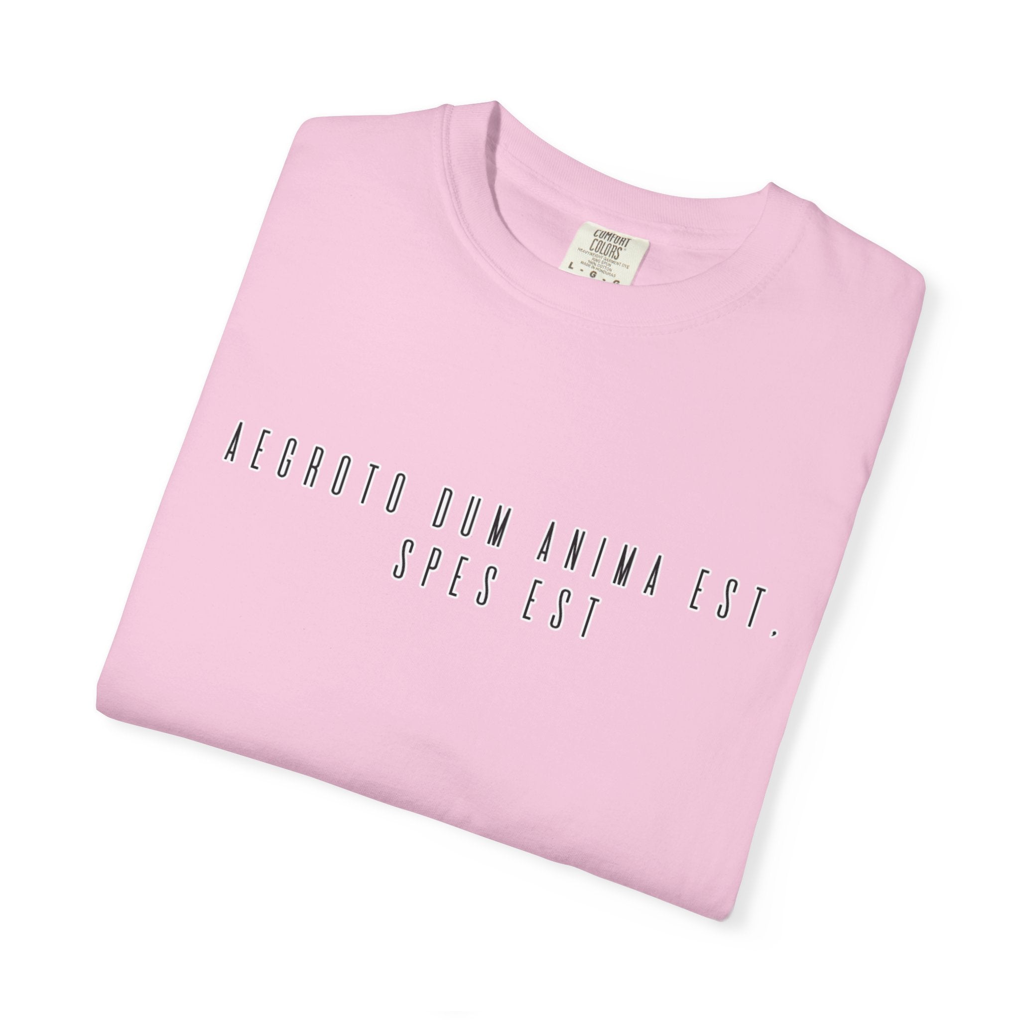 Women's "Aegroto dum anima est, spes est" - "While there’s life, there’s hope " T-Shirt