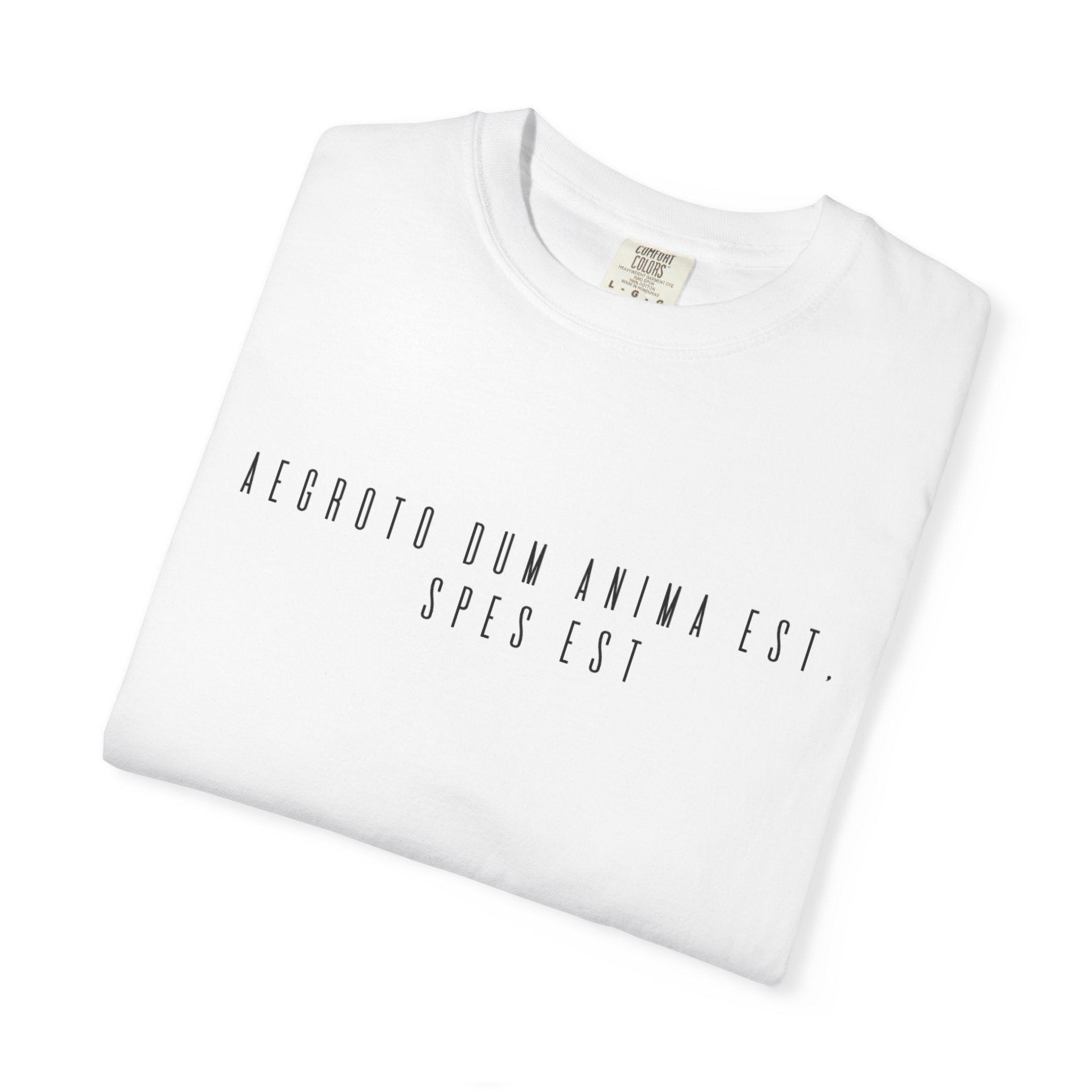 Women's "Aegroto dum anima est, spes est" - "While there’s life, there’s hope " T-Shirt