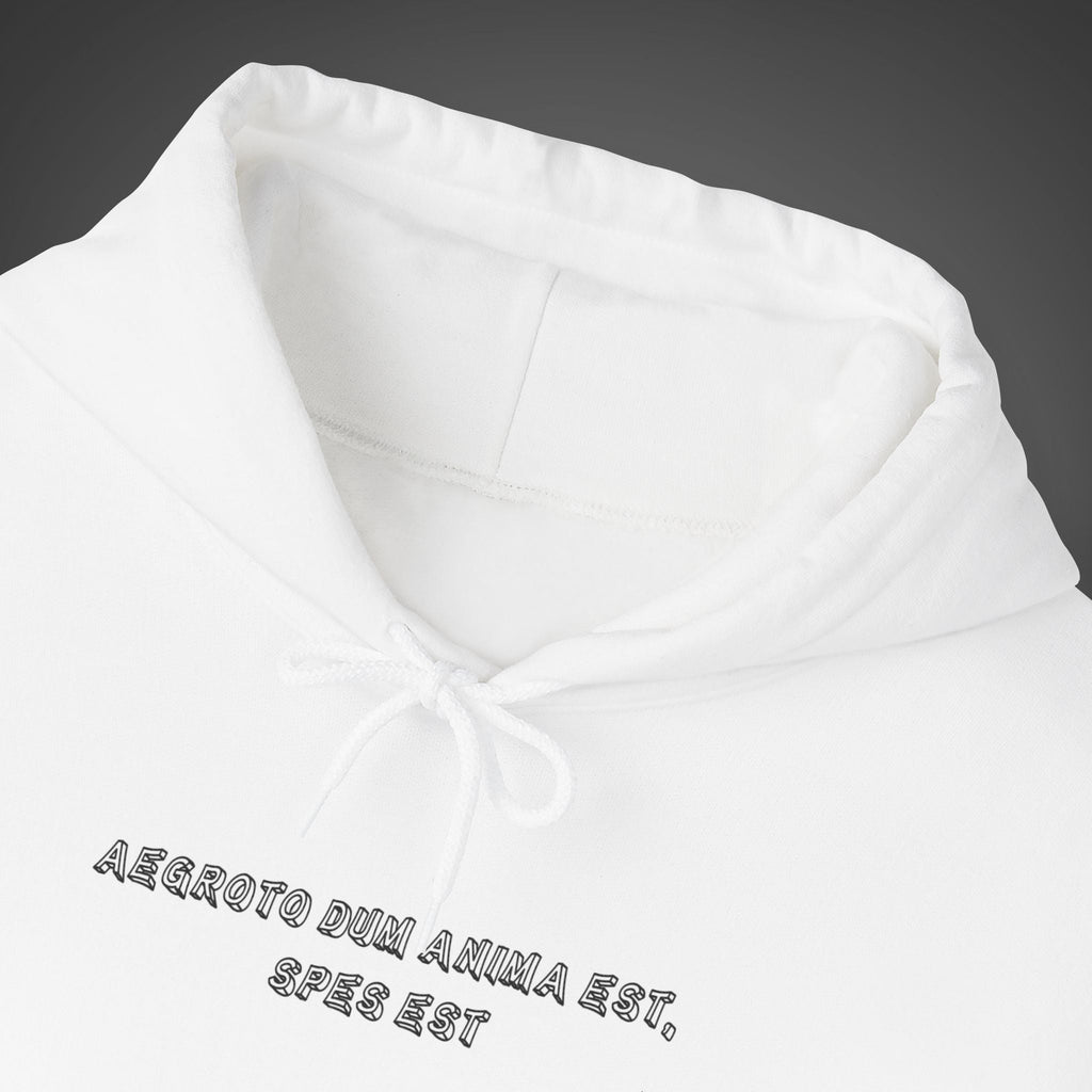 Men's "Aegroto dum anima est, spes est" - "While there’s life, there’s hope " Hoodie