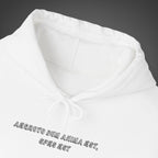 Men's "Aegroto dum anima est, spes est" - "While there’s life, there’s hope " Hoodie