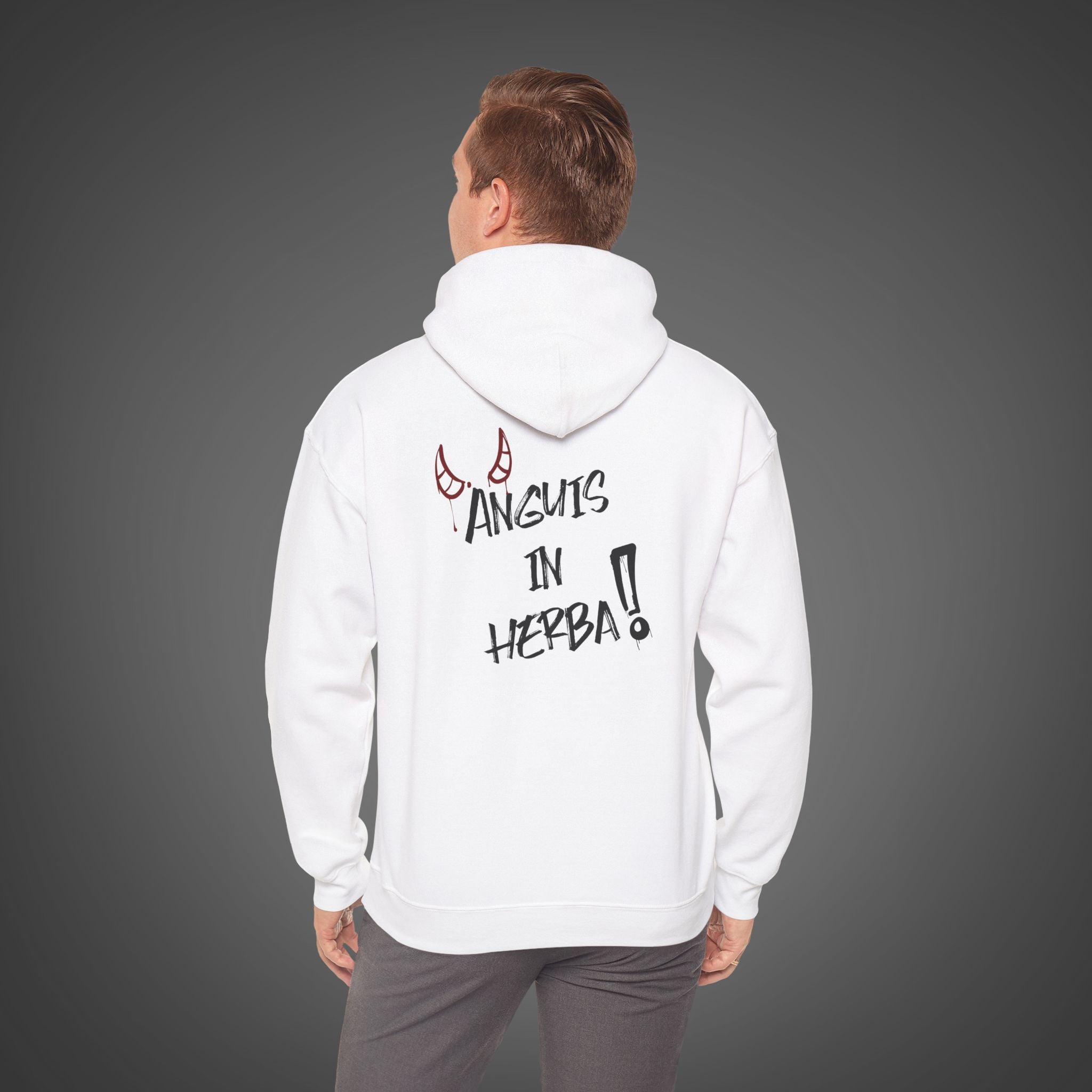 Men's "Anguis in herba" - "A snake in the grass"(hidden danger)  Hoodie