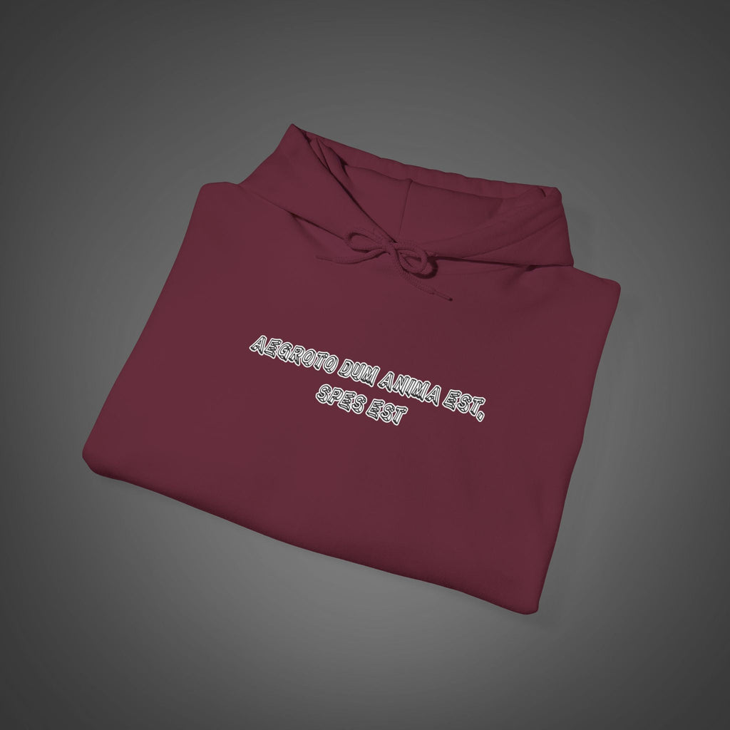 Men's "Aegroto dum anima est, spes est" - "While there’s life, there’s hope " Hoodie