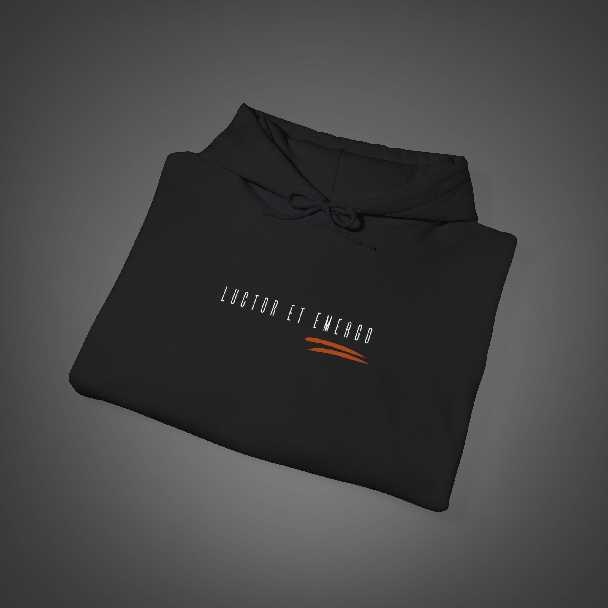 Women's "Luctor et emergo" - "I struggle and rise" Hoodie