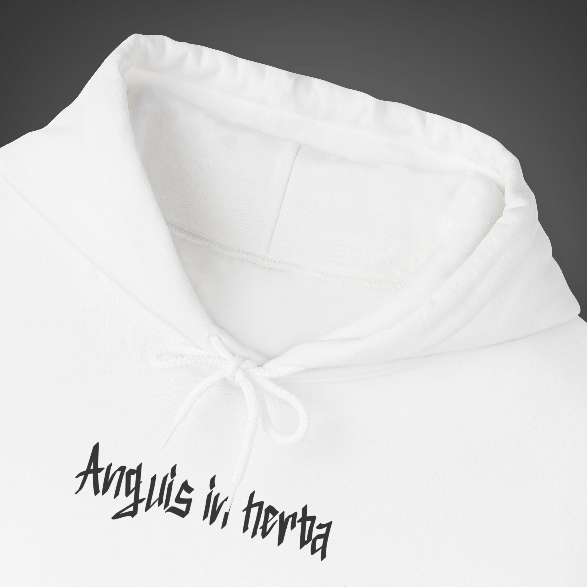 Men's "Anguis in herba" - "A snake in the grass"(hidden danger)  Hoodie