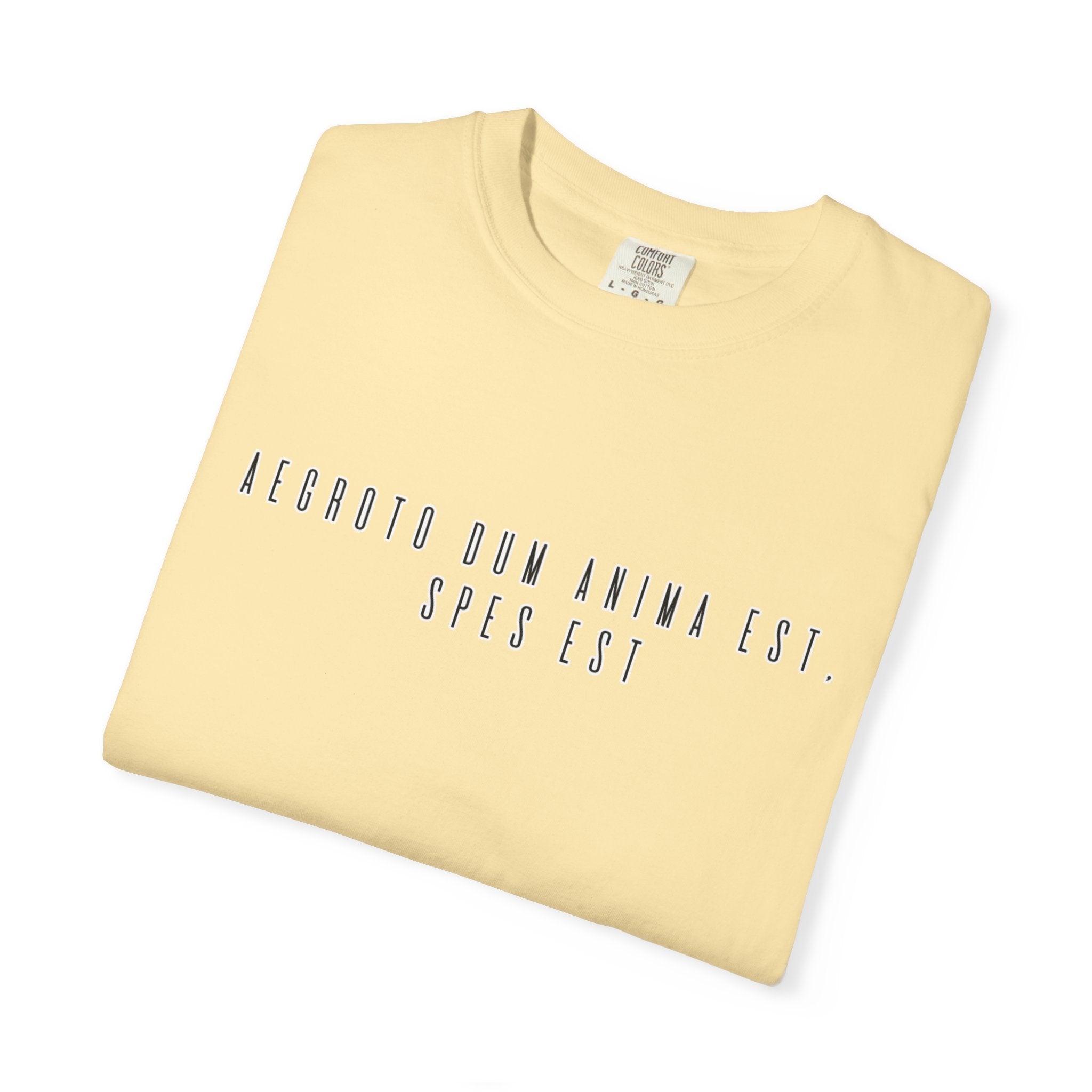 Women's "Aegroto dum anima est, spes est" - "While there’s life, there’s hope " T-Shirt