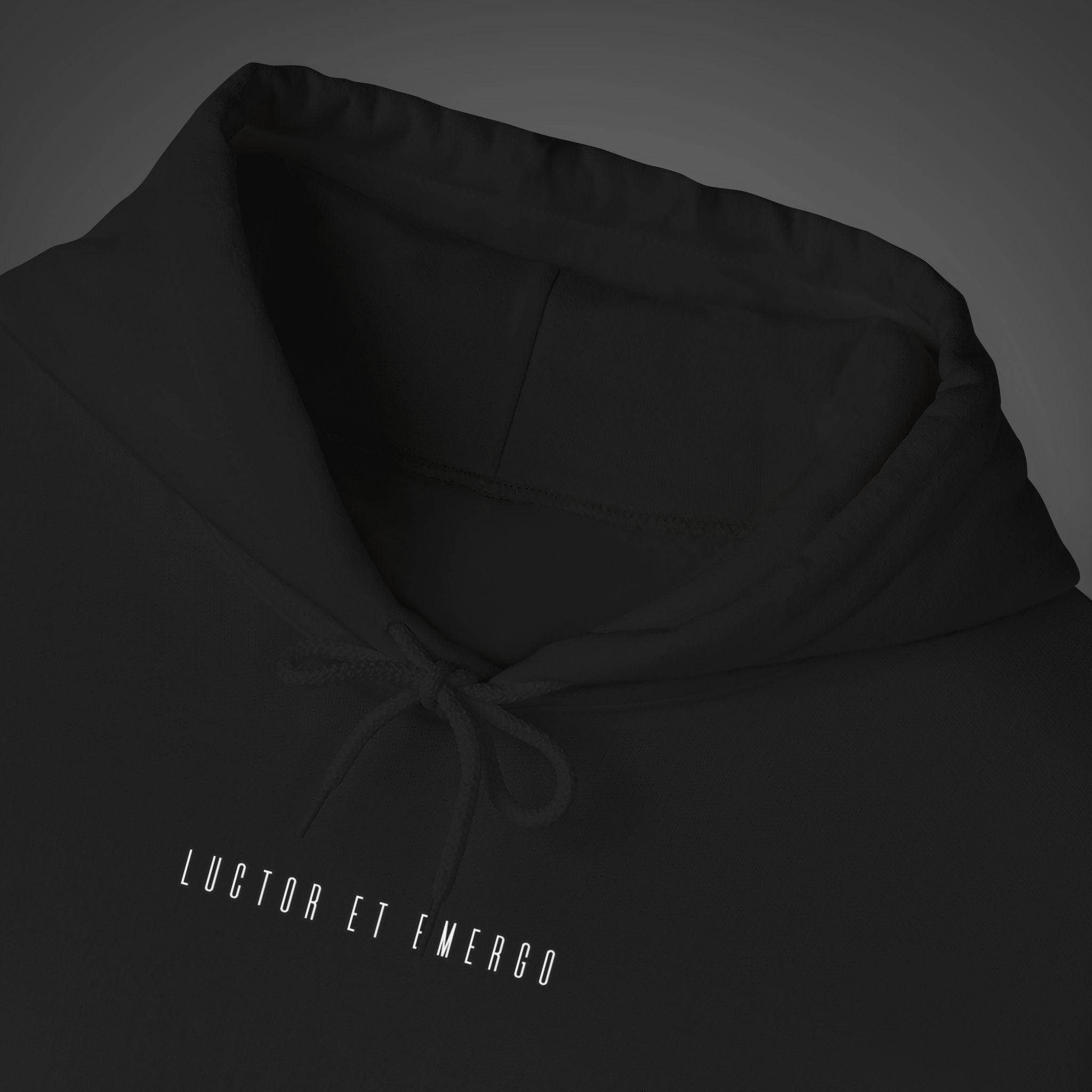 Men's "Luctor et emergo" - "I struggle and rise" Hoodie