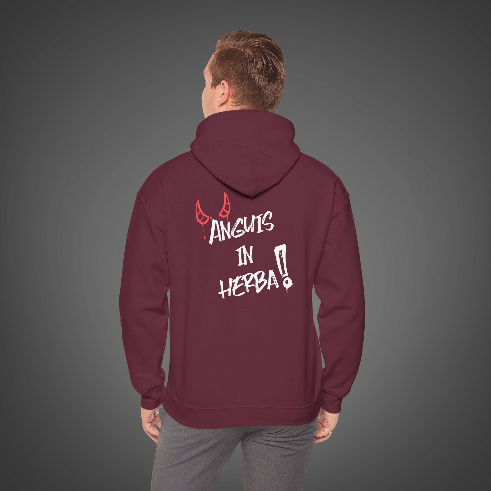 Men's "Anguis in herba" - "A snake in the grass"(hidden danger)  Hoodie