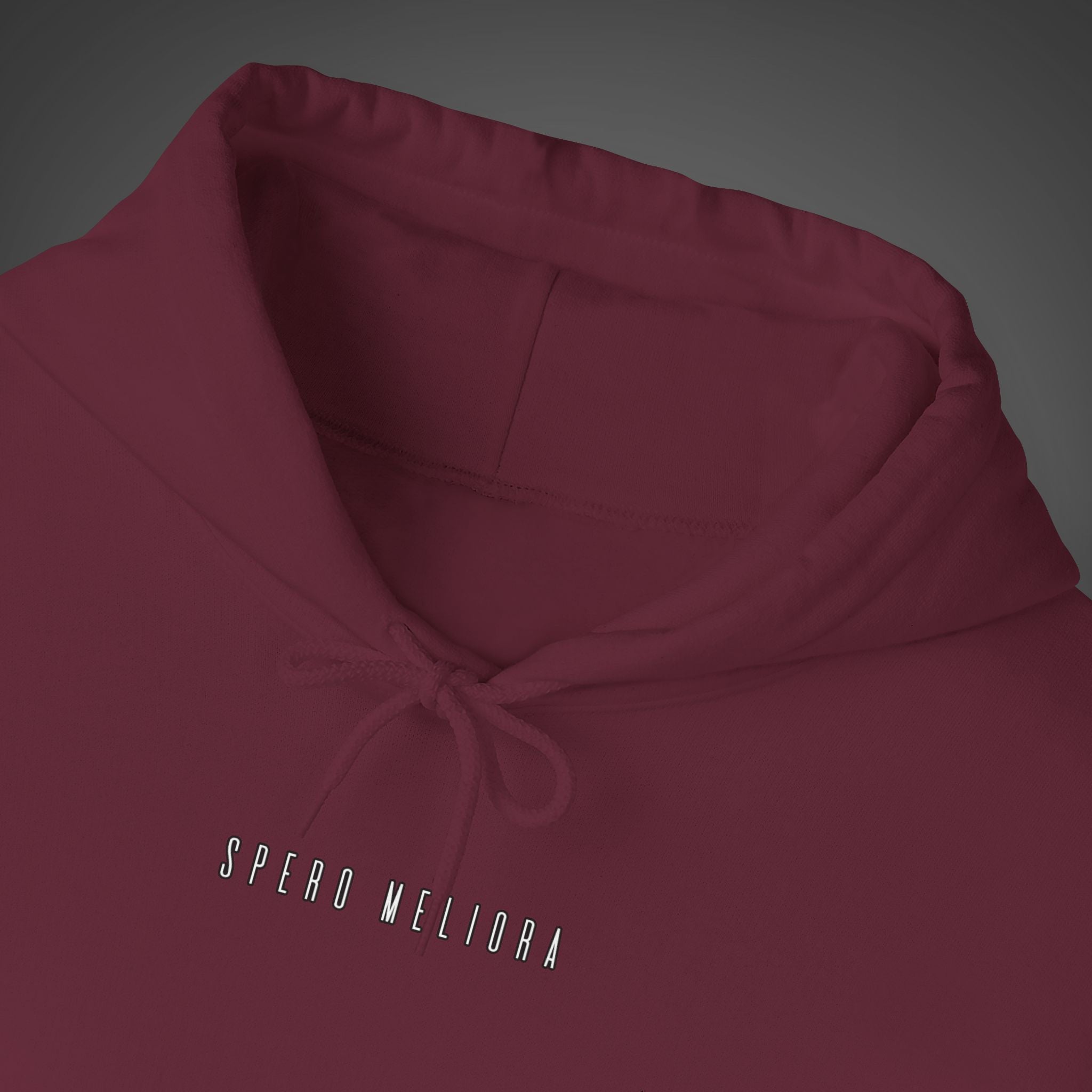 Men's "Spero meliora" - "I hope for better things" Hoodie