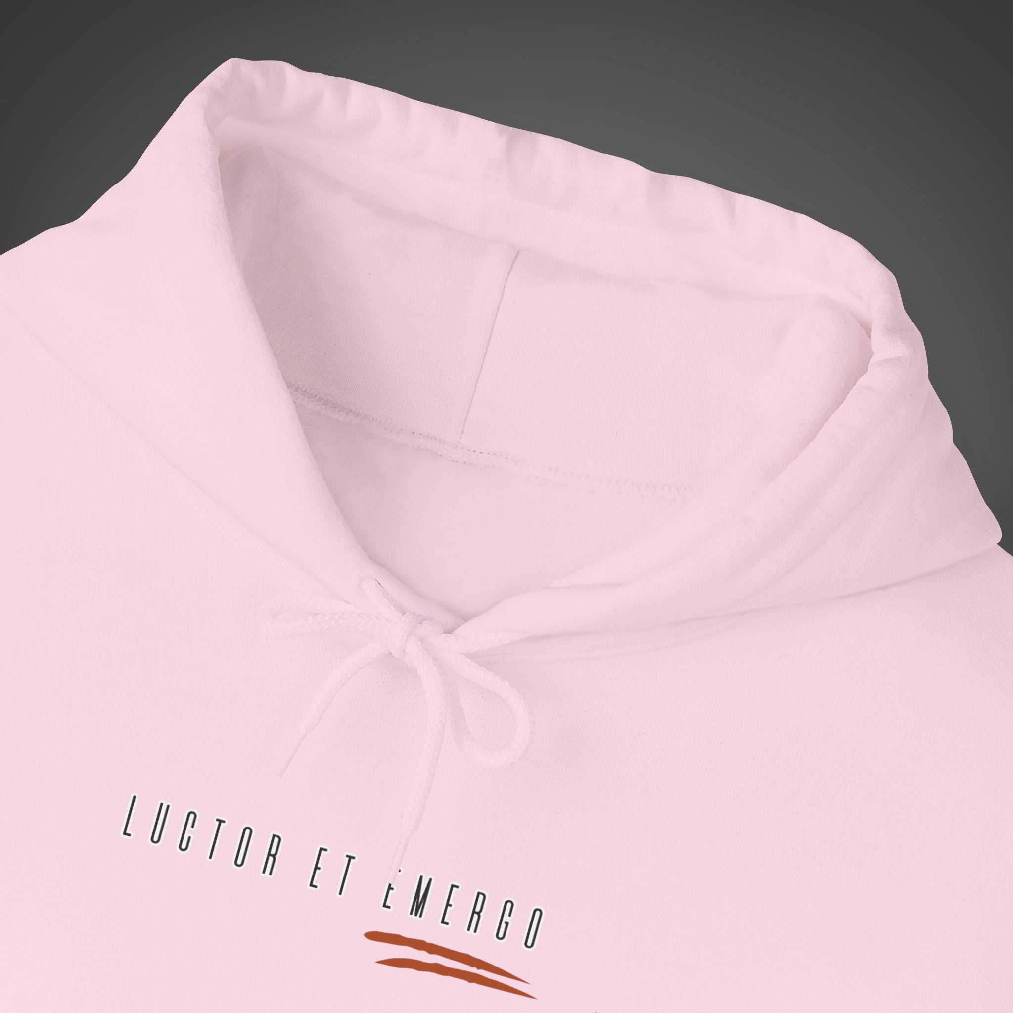 Women's "Luctor et emergo" - "I struggle and rise" Hoodie